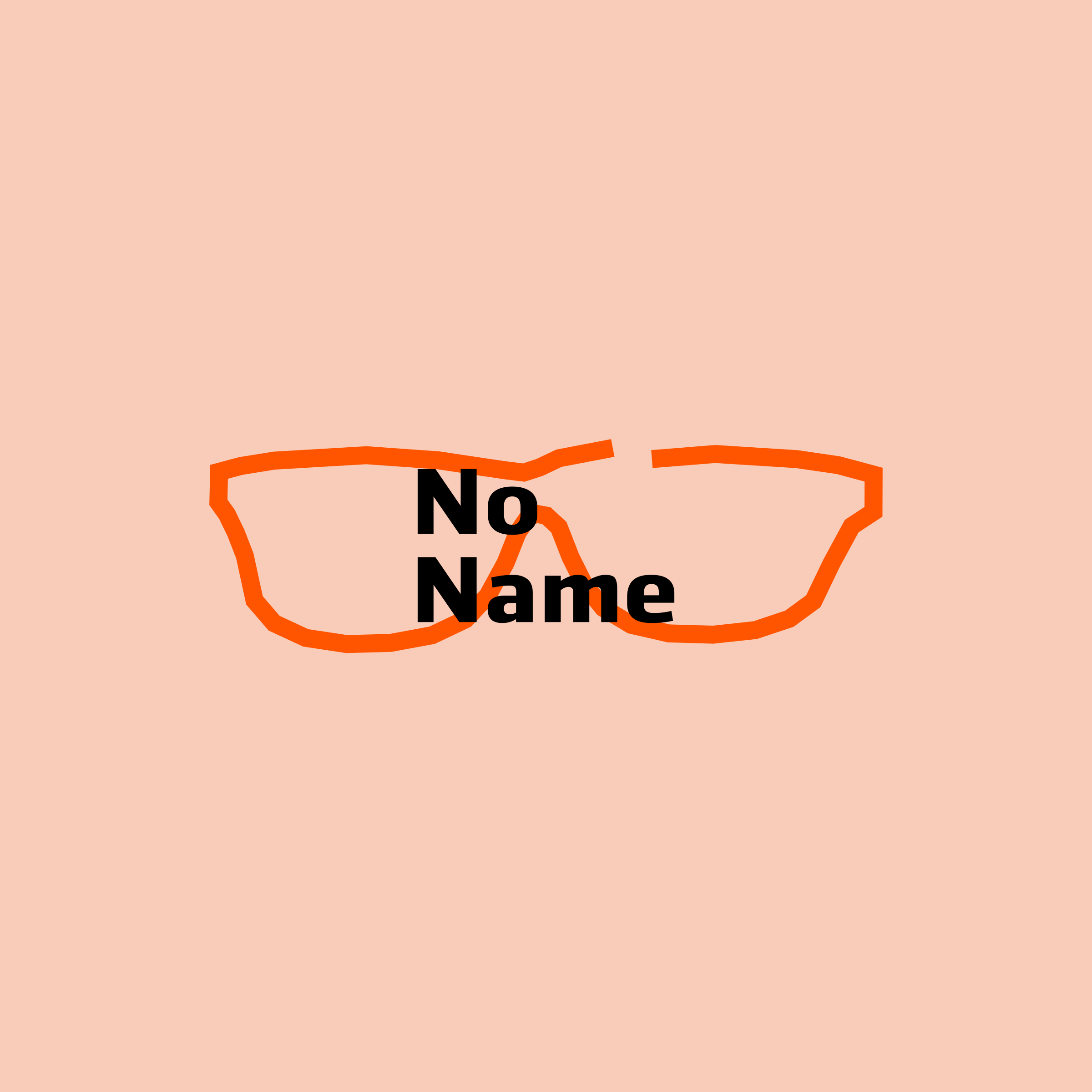 Company logo «No Name»