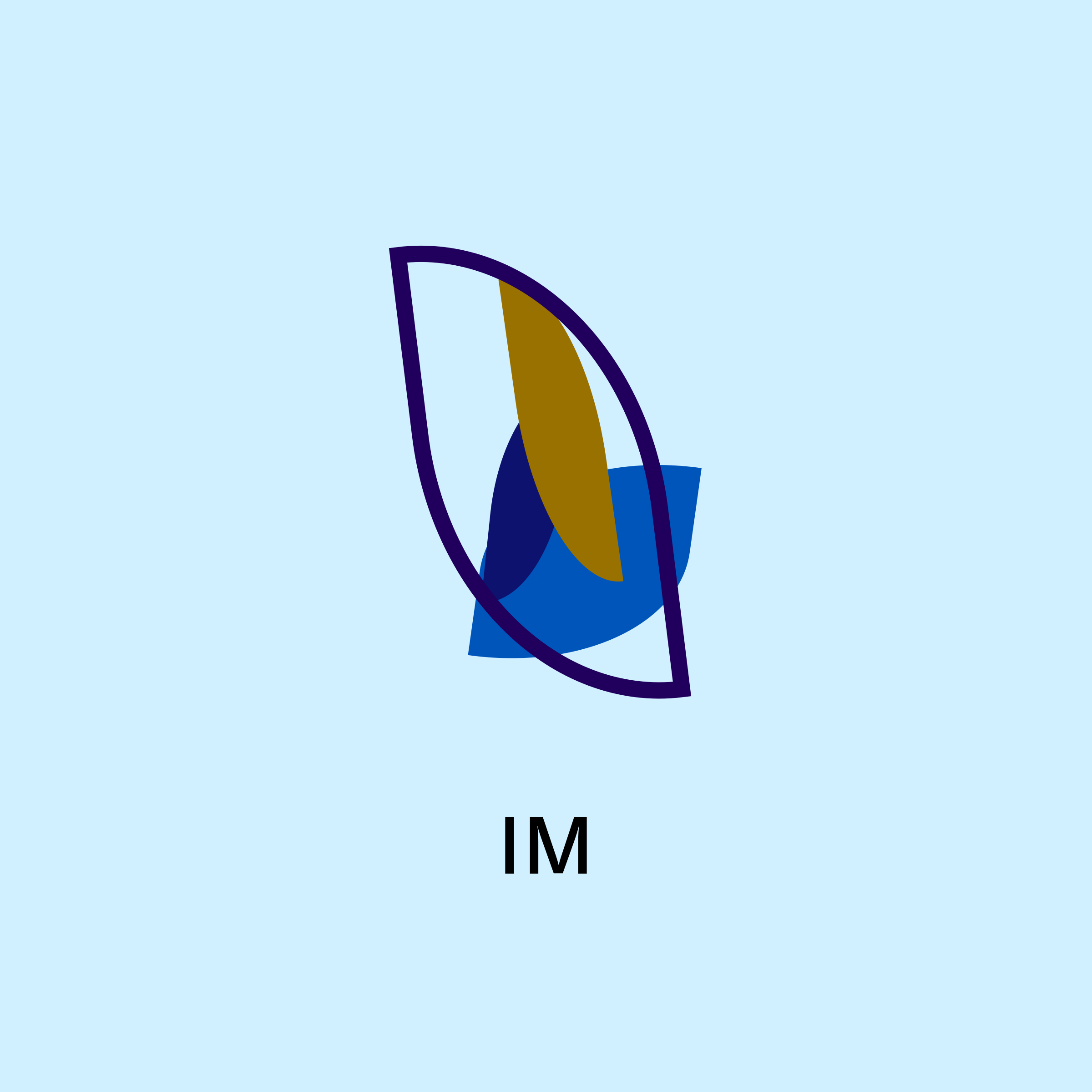 Company logo «IM»