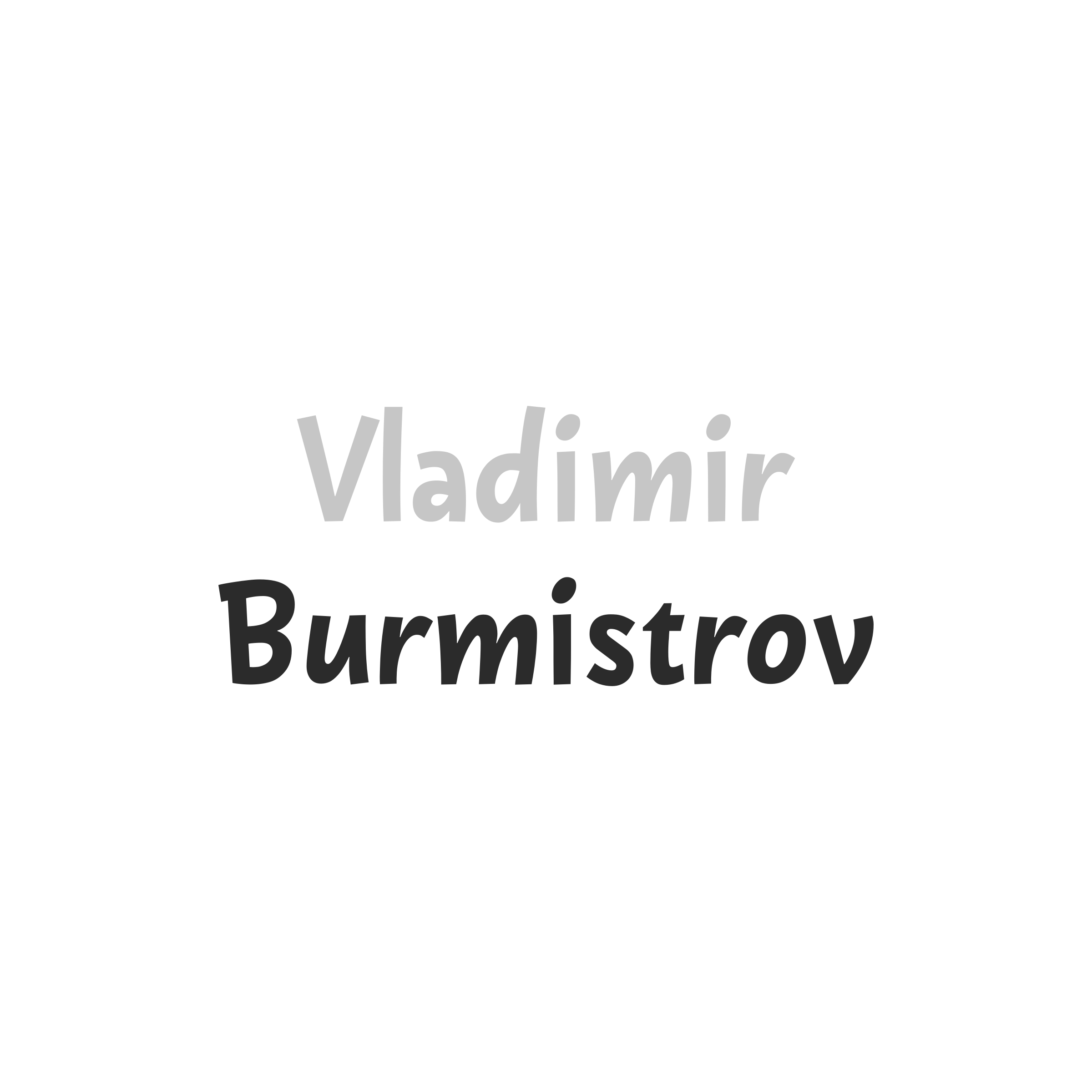 Company logo «Vladimir Burmistrov»