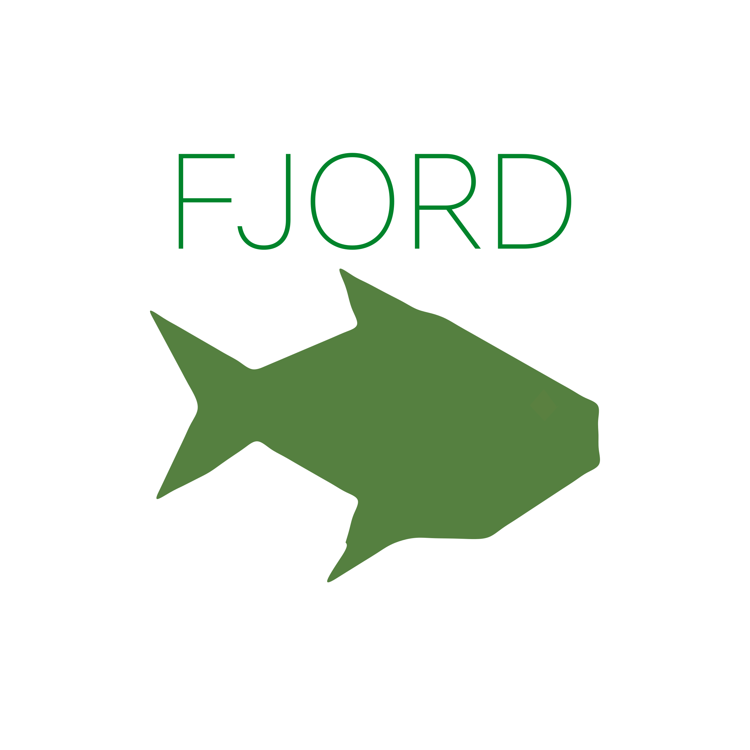 Логотип компании «FJORD»