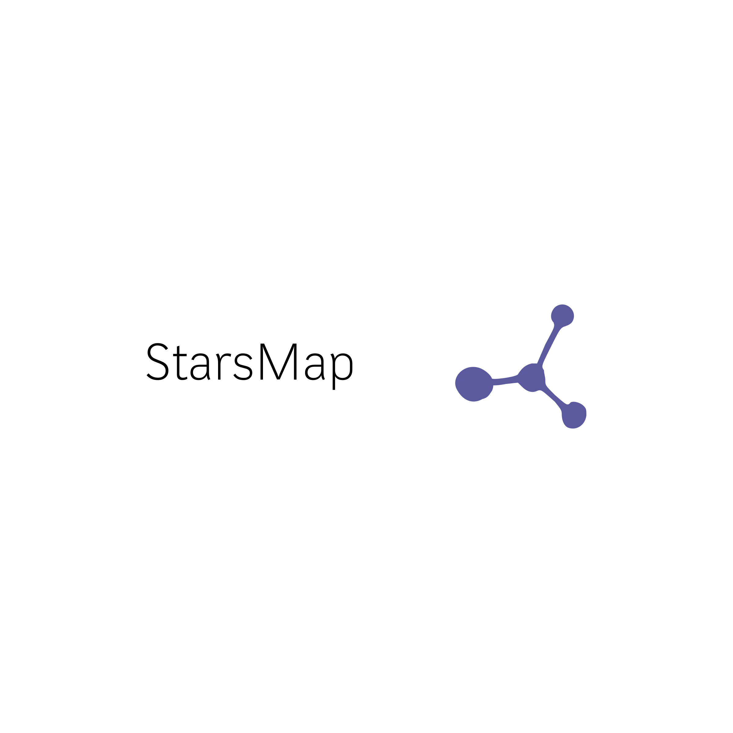 Company logo «StarsMap»