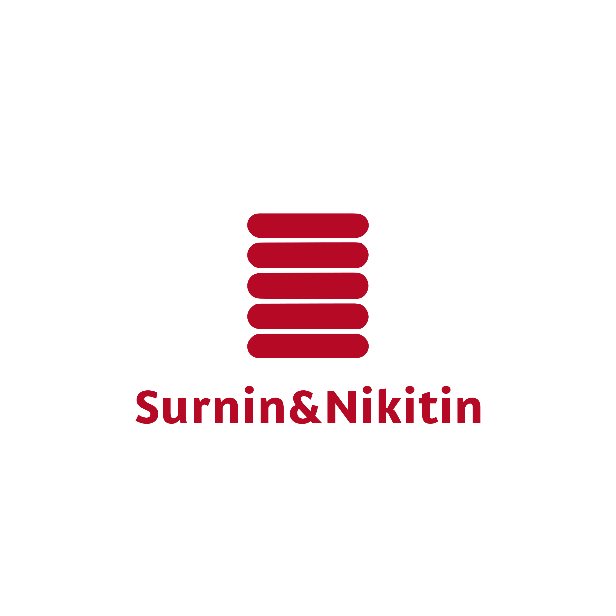 Логотип компании «Surnin&Nikitin»