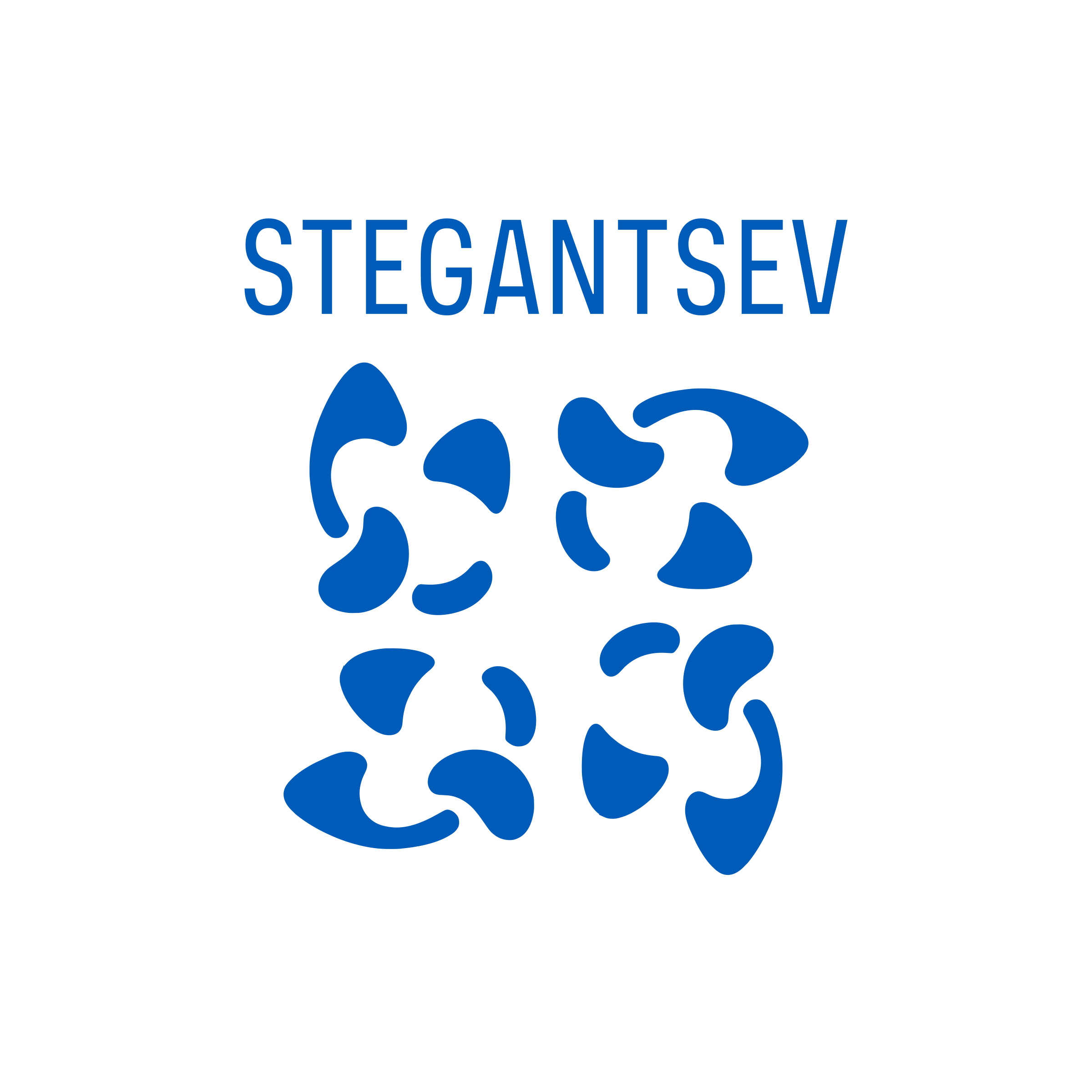 Логотип компании «Stegantsev»