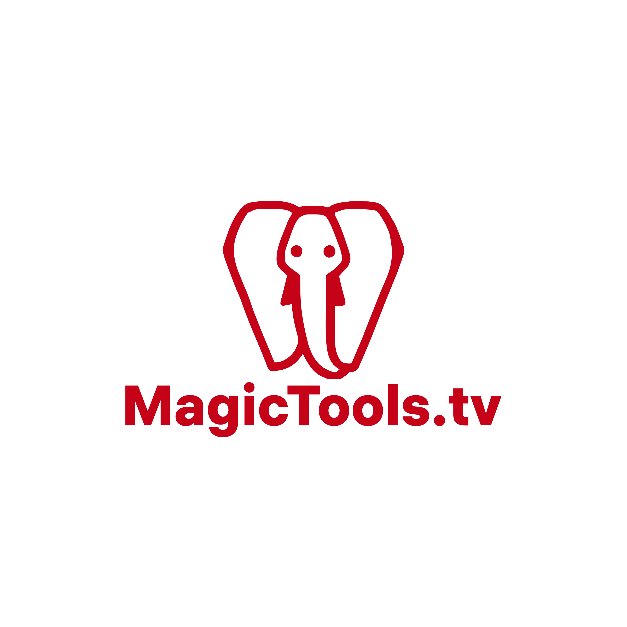 Логотип компании «MagicTools.tv»