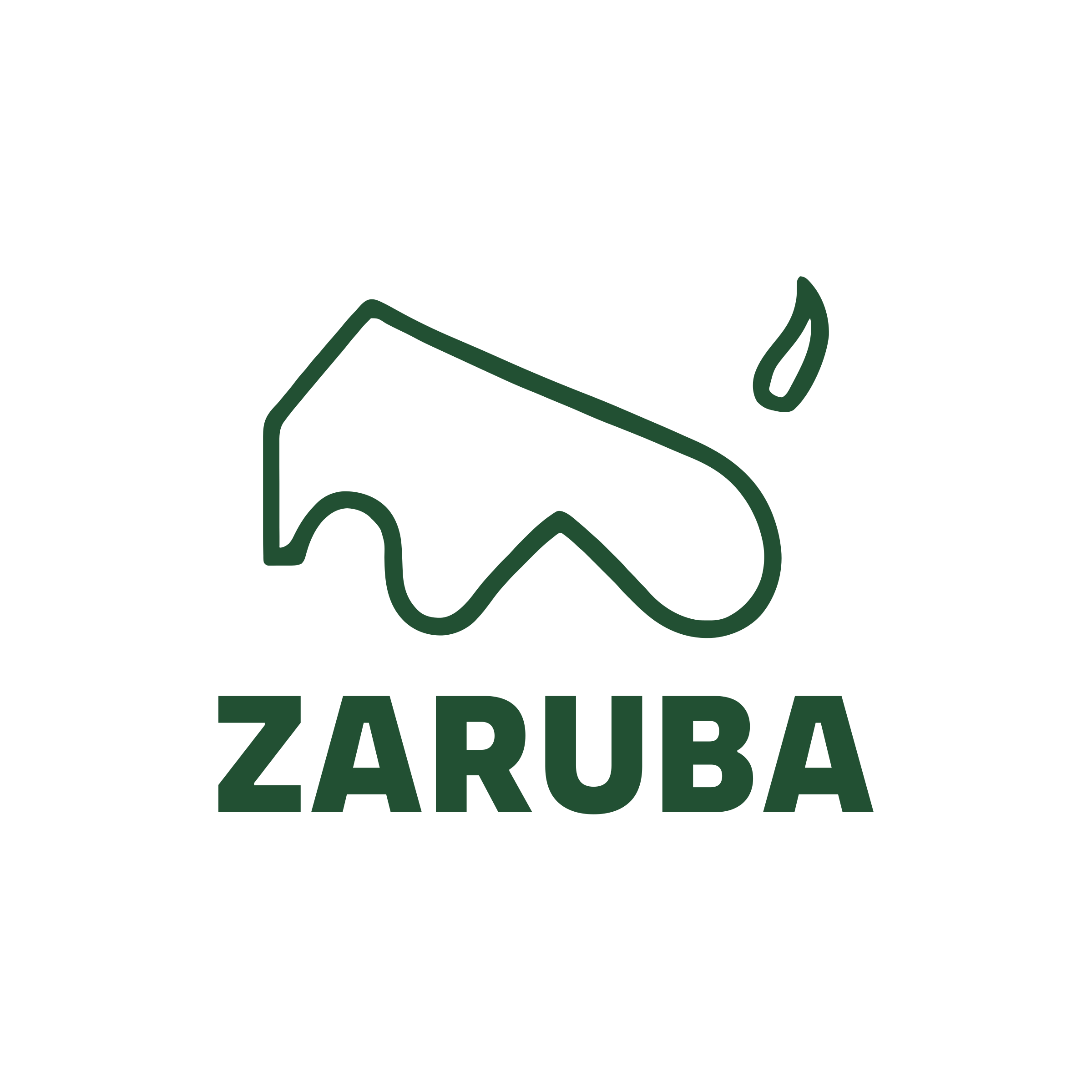 Company logo «ZARUBA»