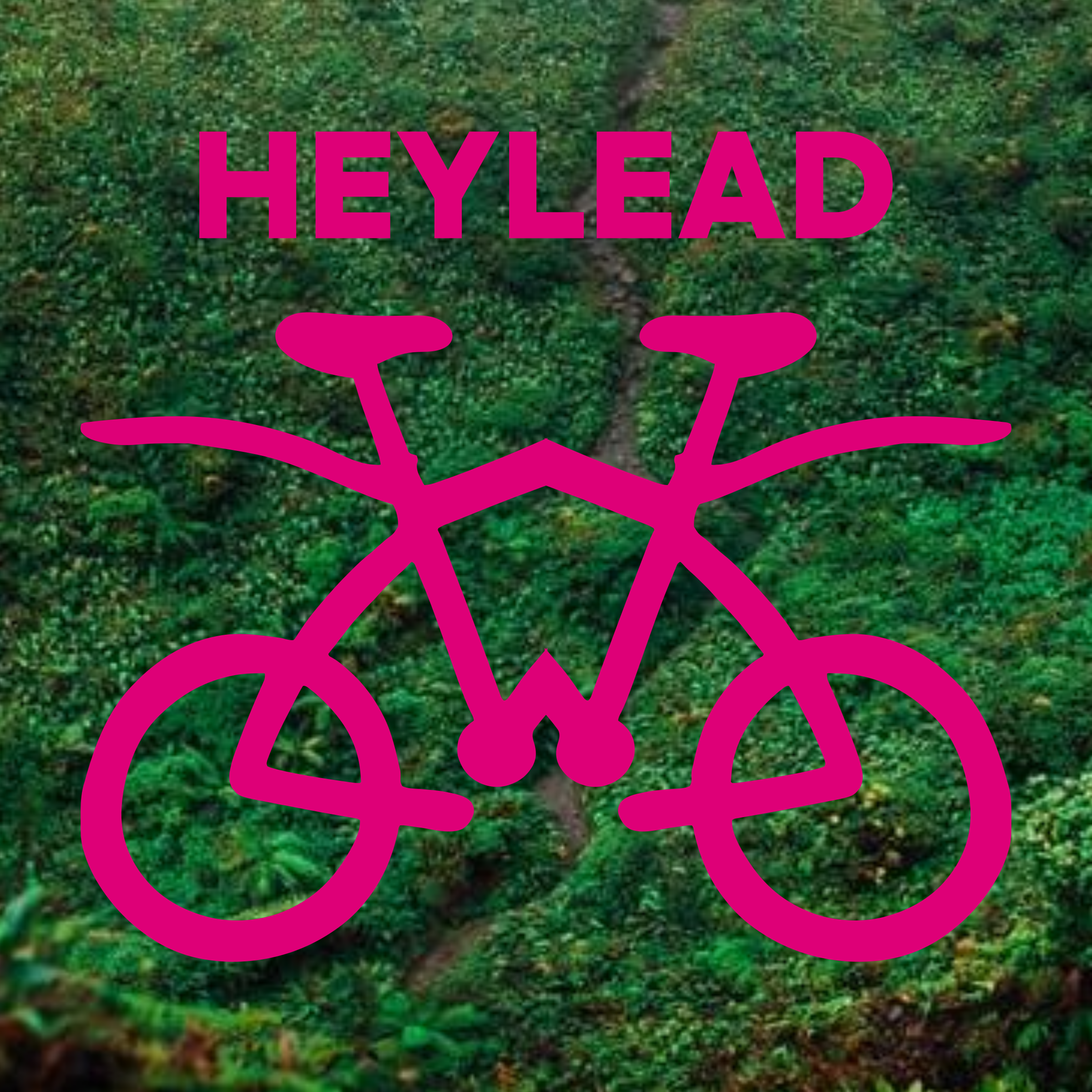 Company logo «HEYLEAD»