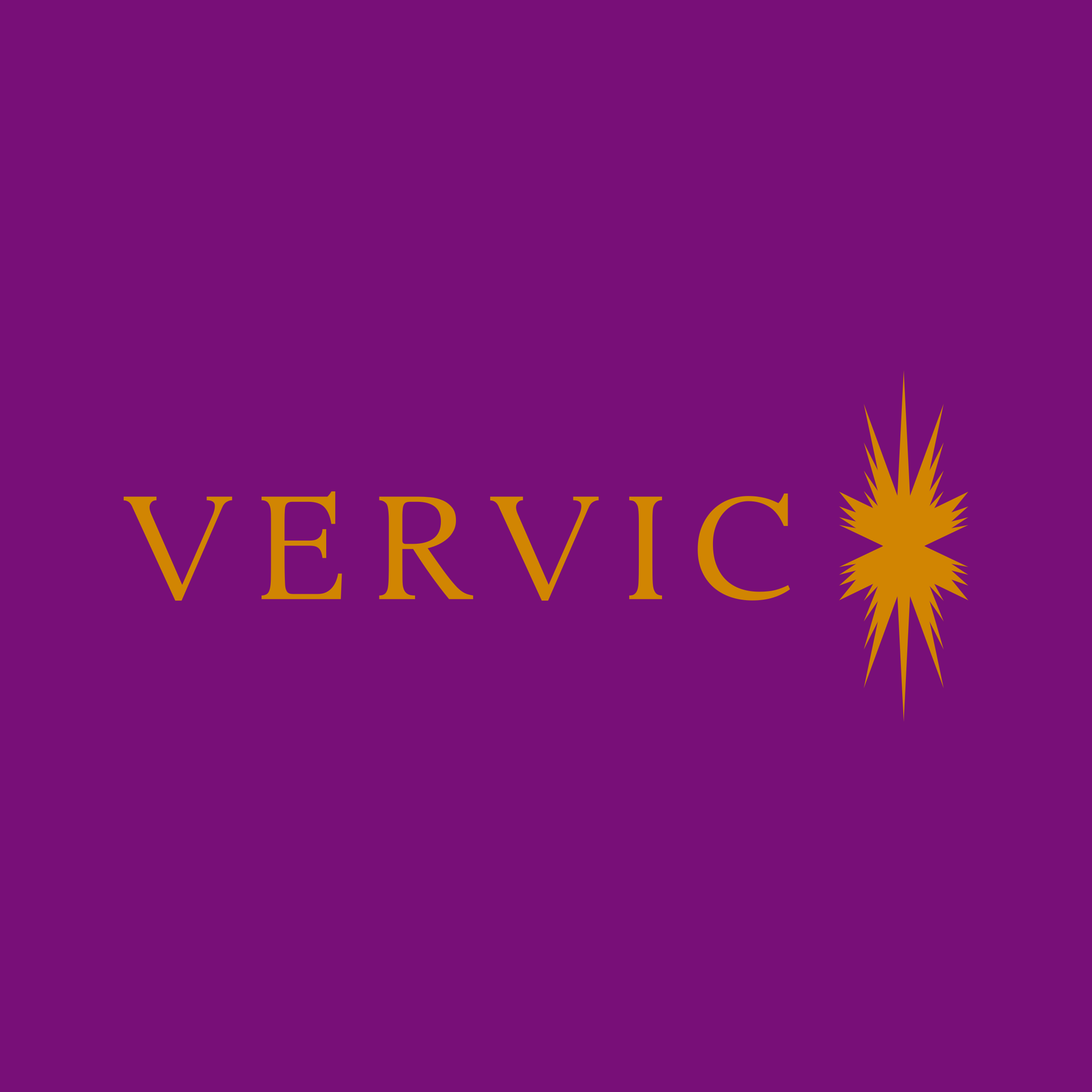 Логотип компании «VERVIC»