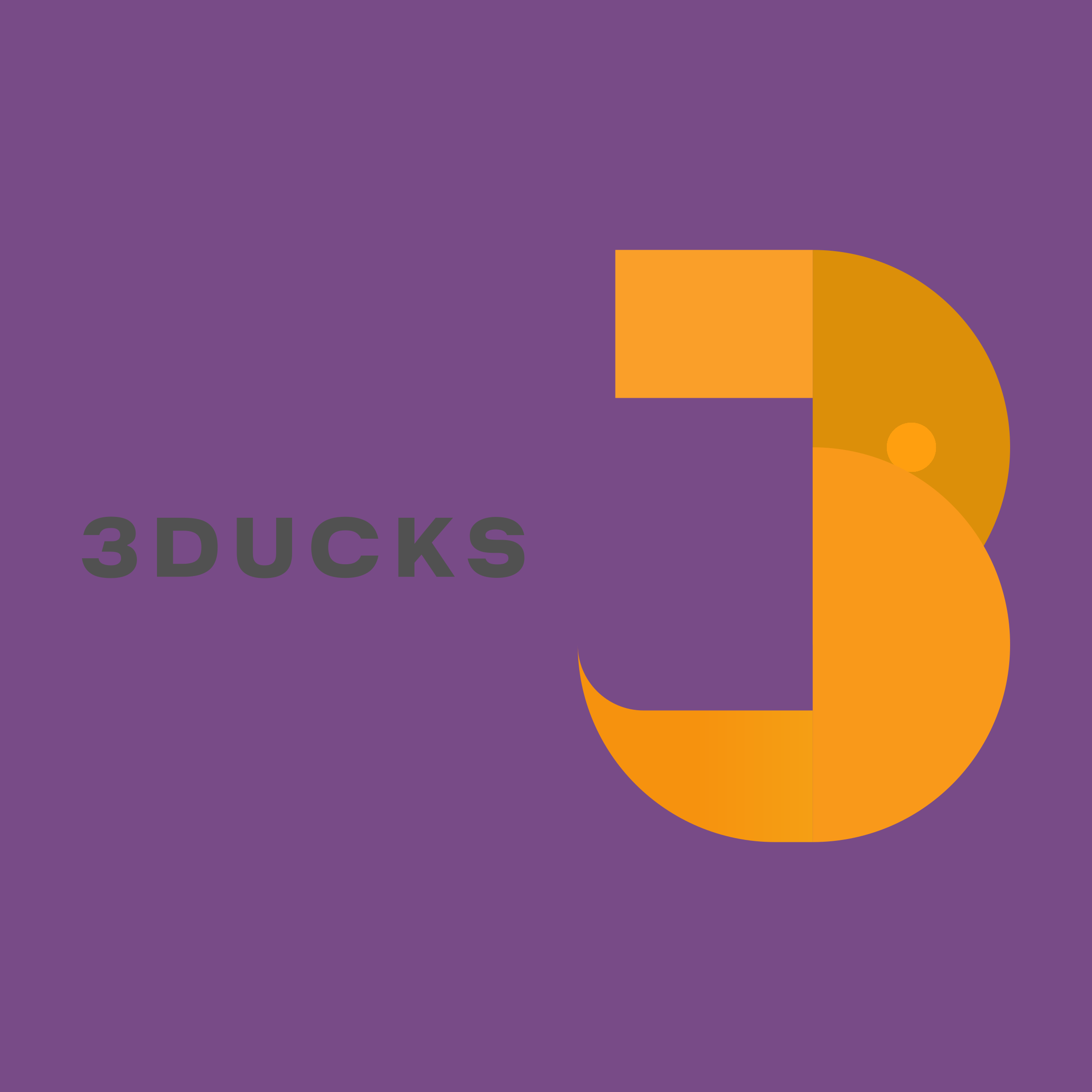 Логотип компании «3DUCKS»