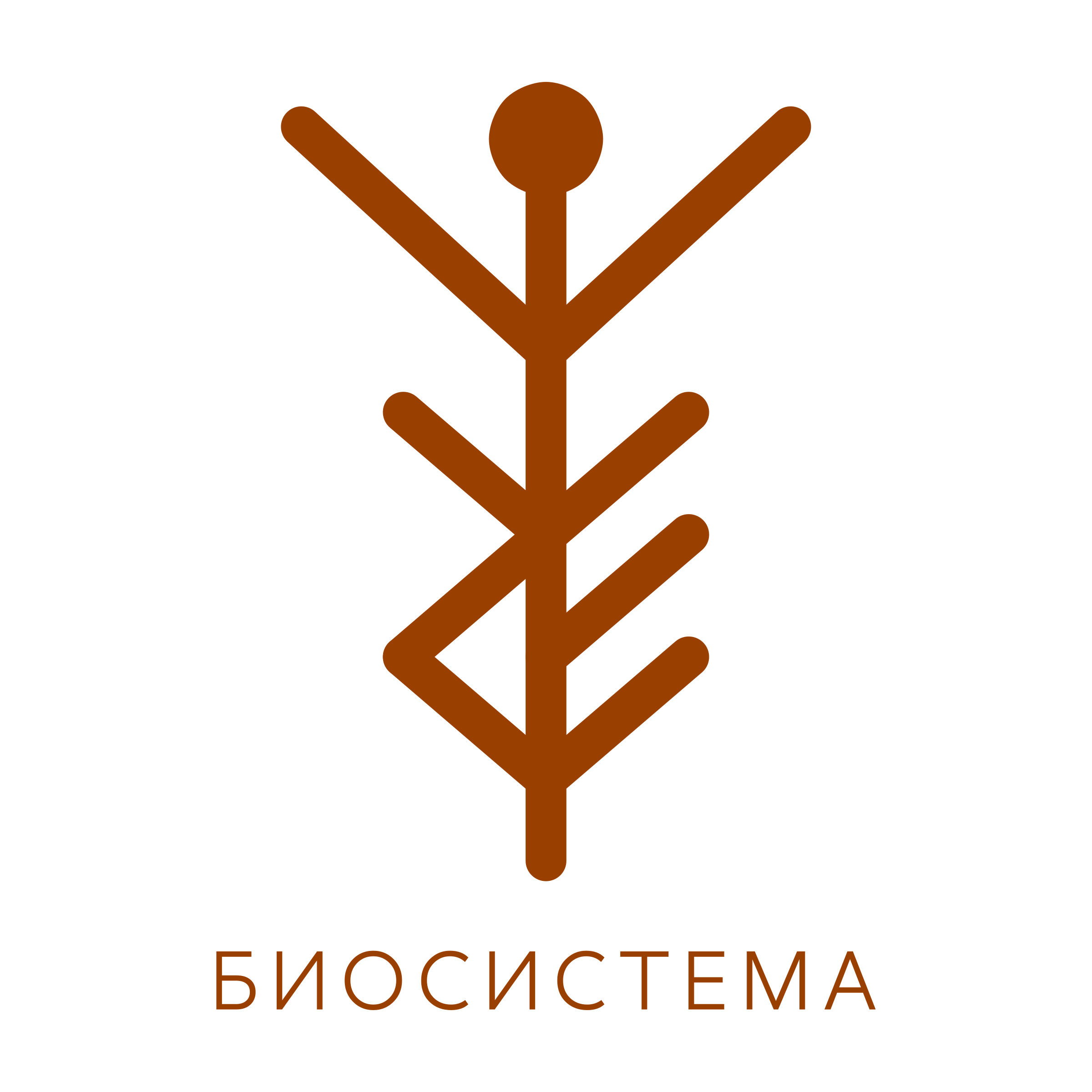 Логотип компании «Биосистема»