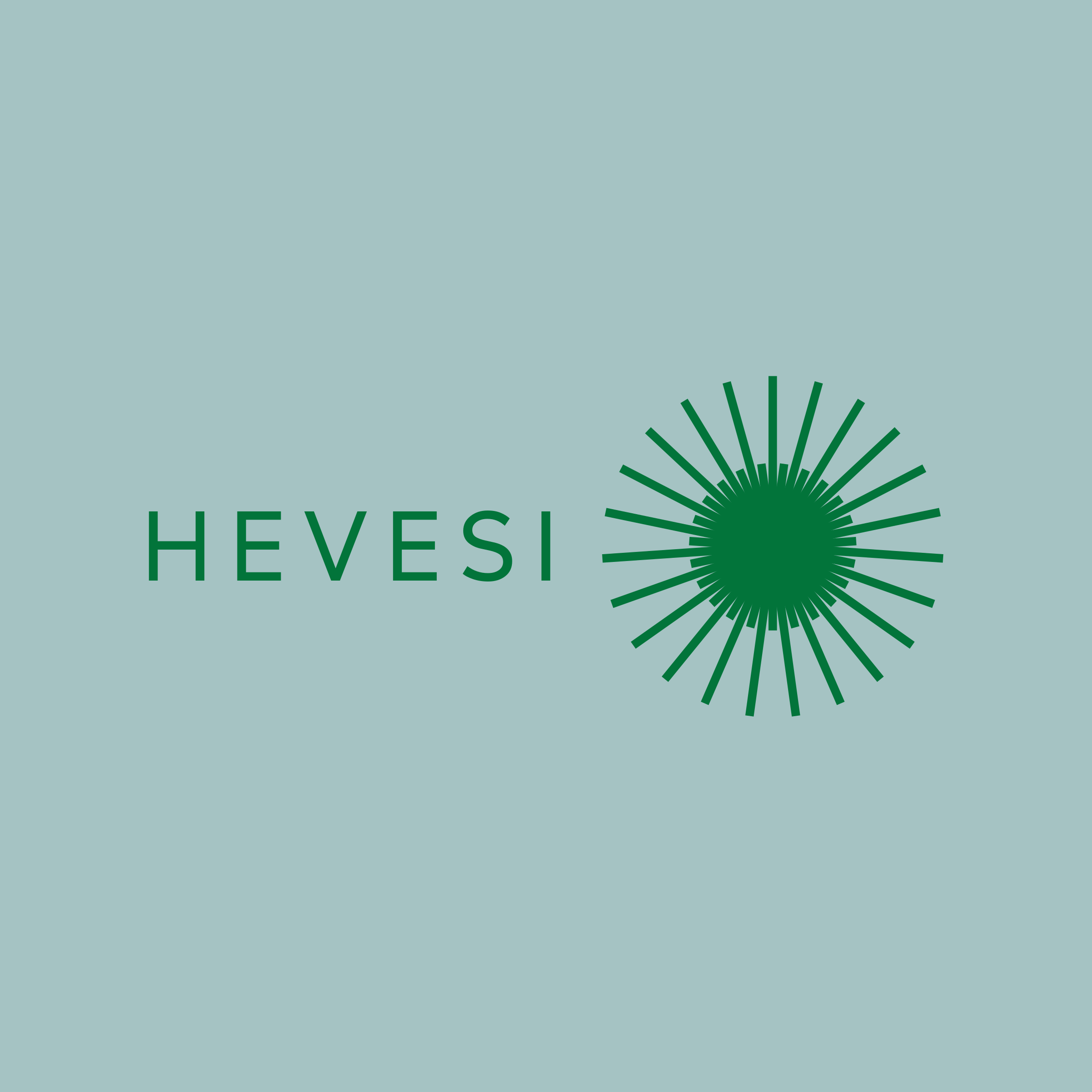 Логотип компании «hevesi»