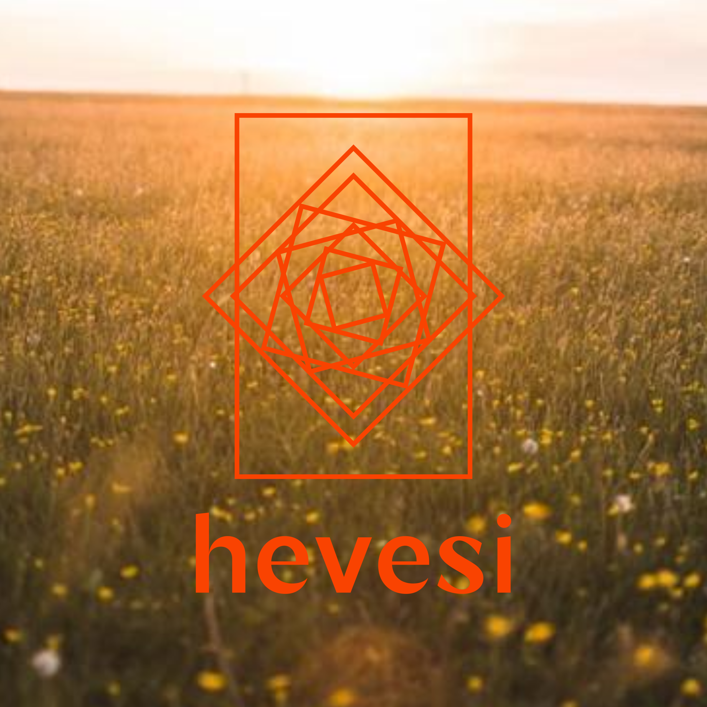 Логотип компании «hevesi»