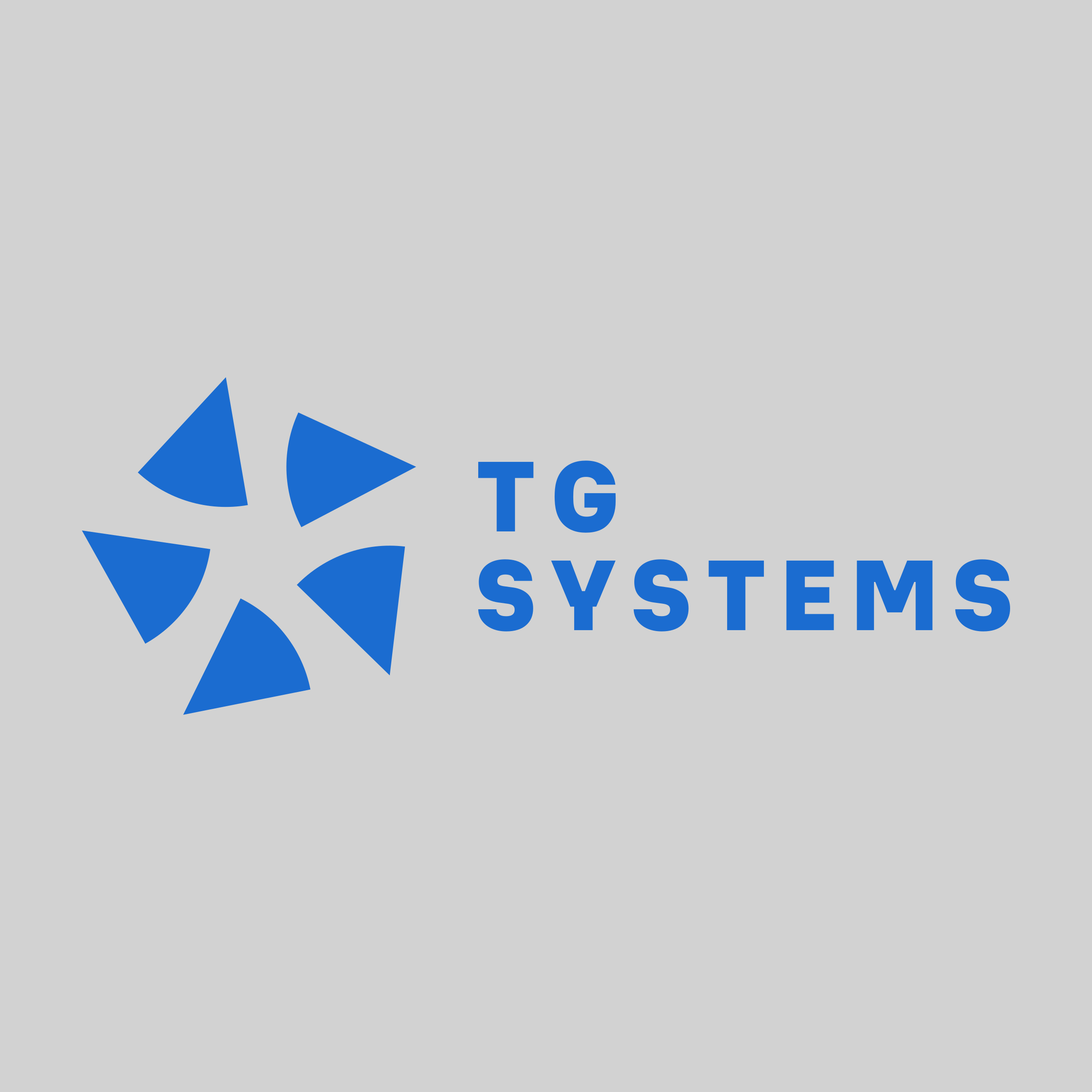 Логотип компании «TG Systems»