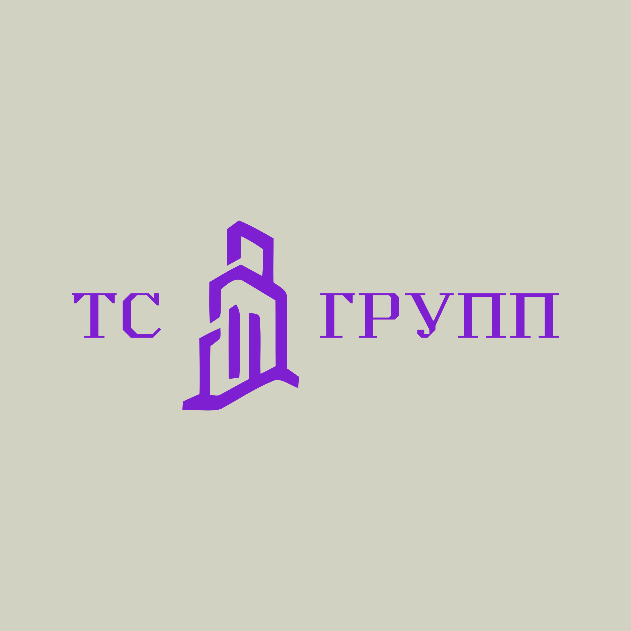 Логотип компании «ТС ГРУПП»