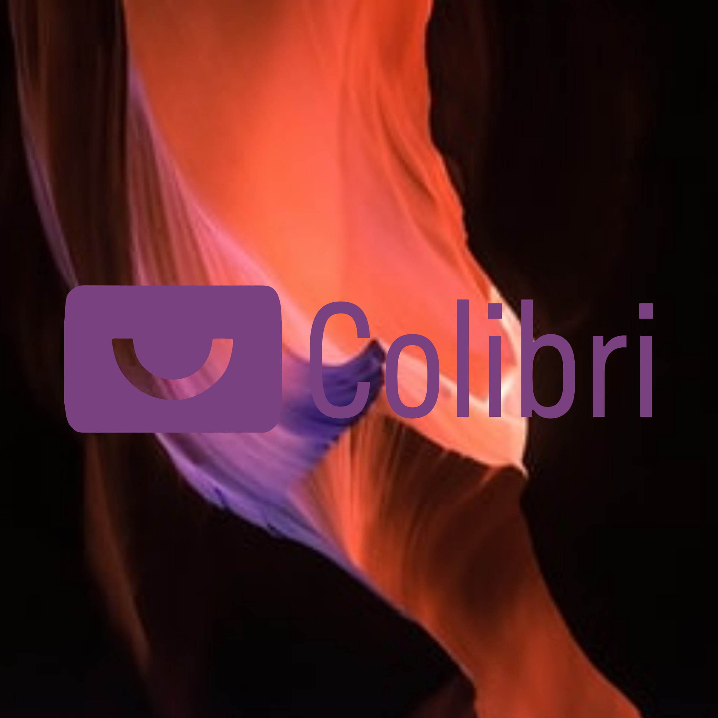 Логотип компании «Colibri»