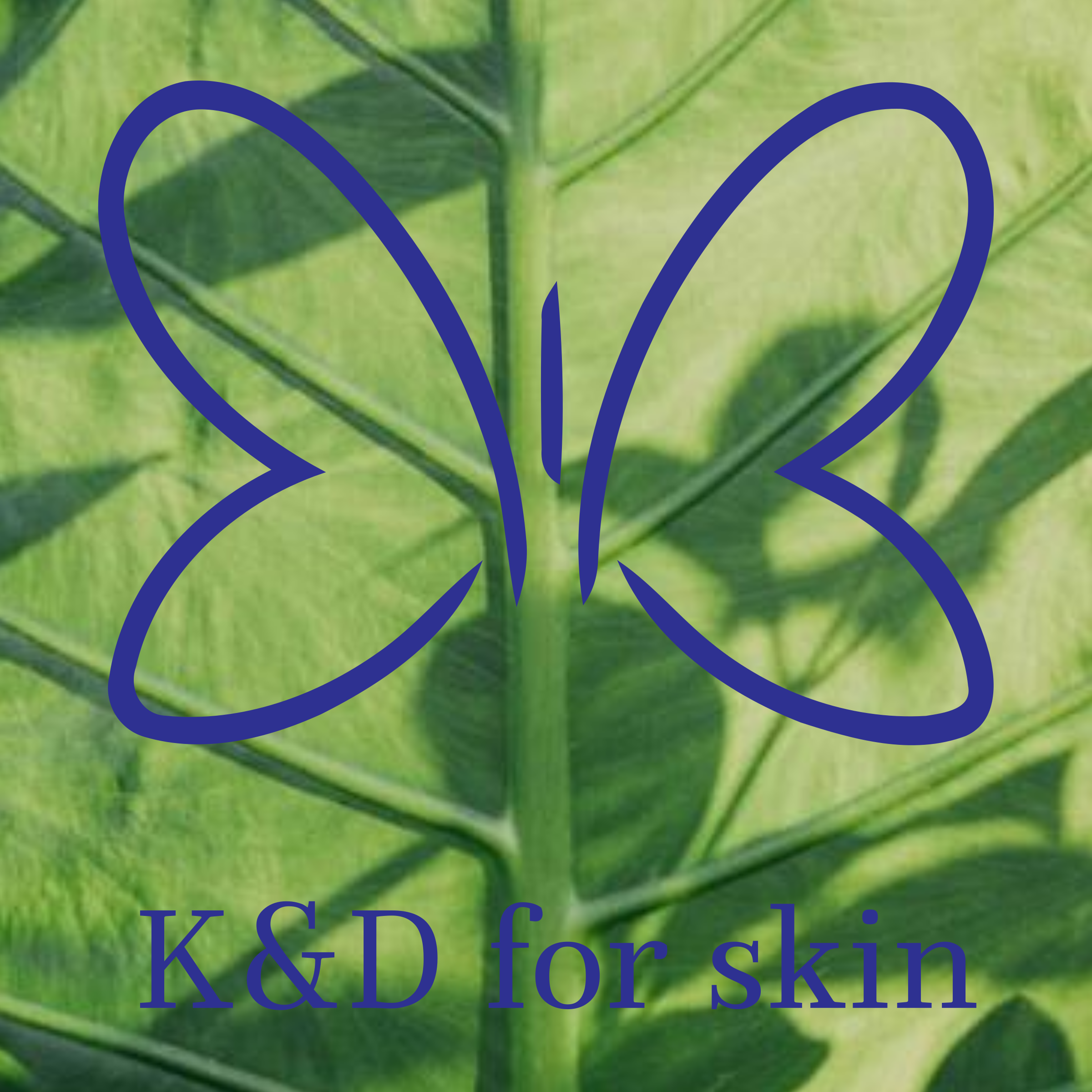 Логотип компании «K&D for skin»