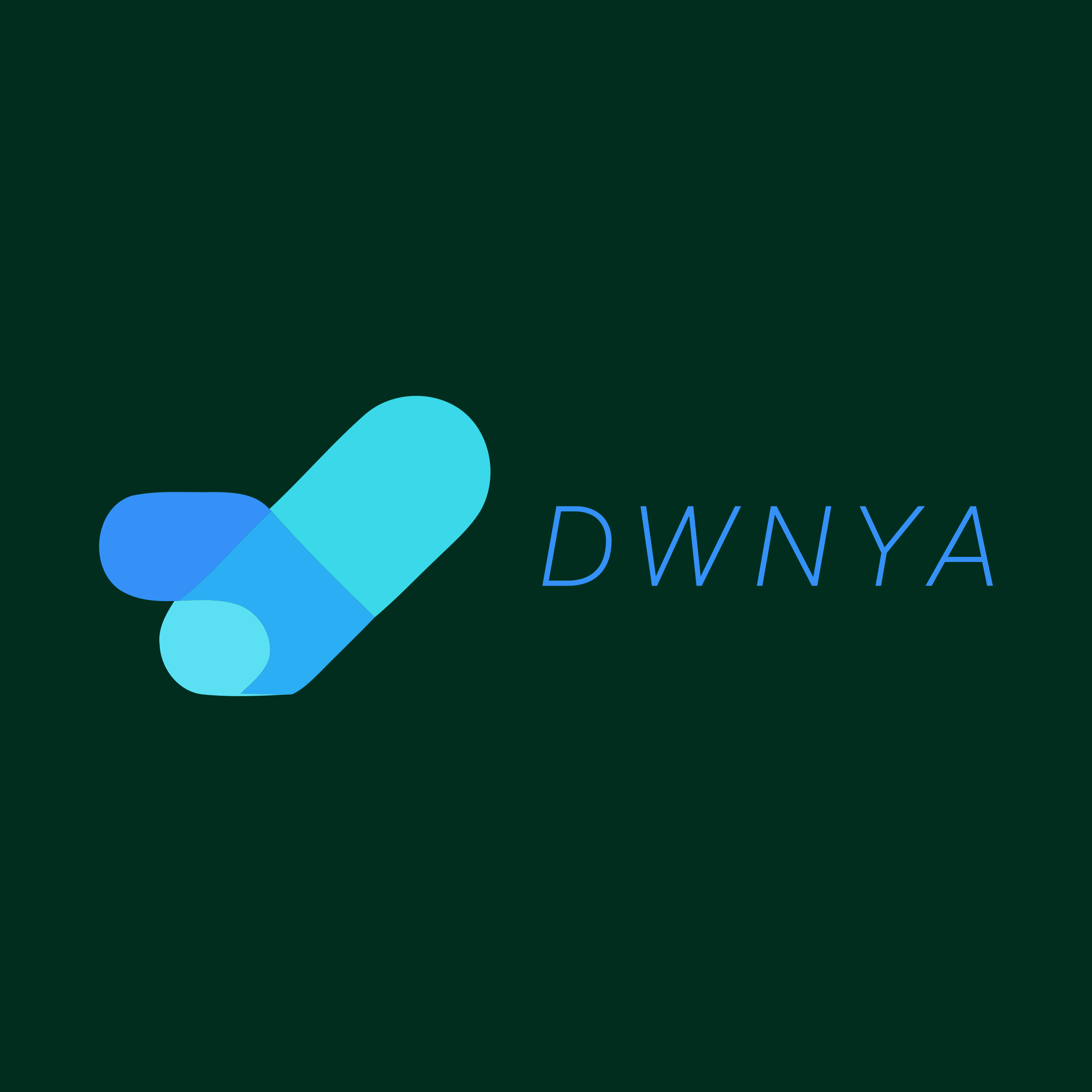 Логотип компании «Dwnya»