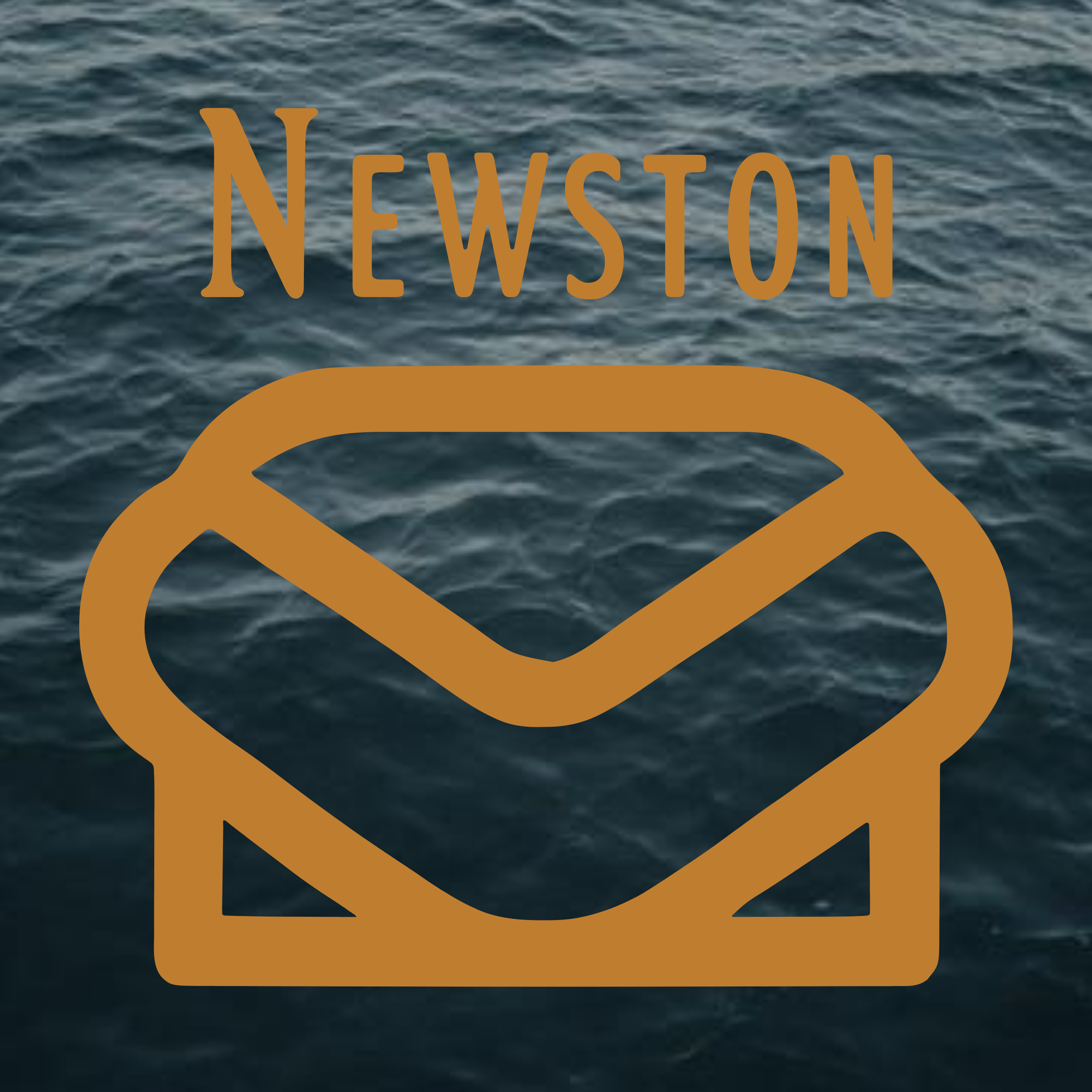 Company logo «Newston»