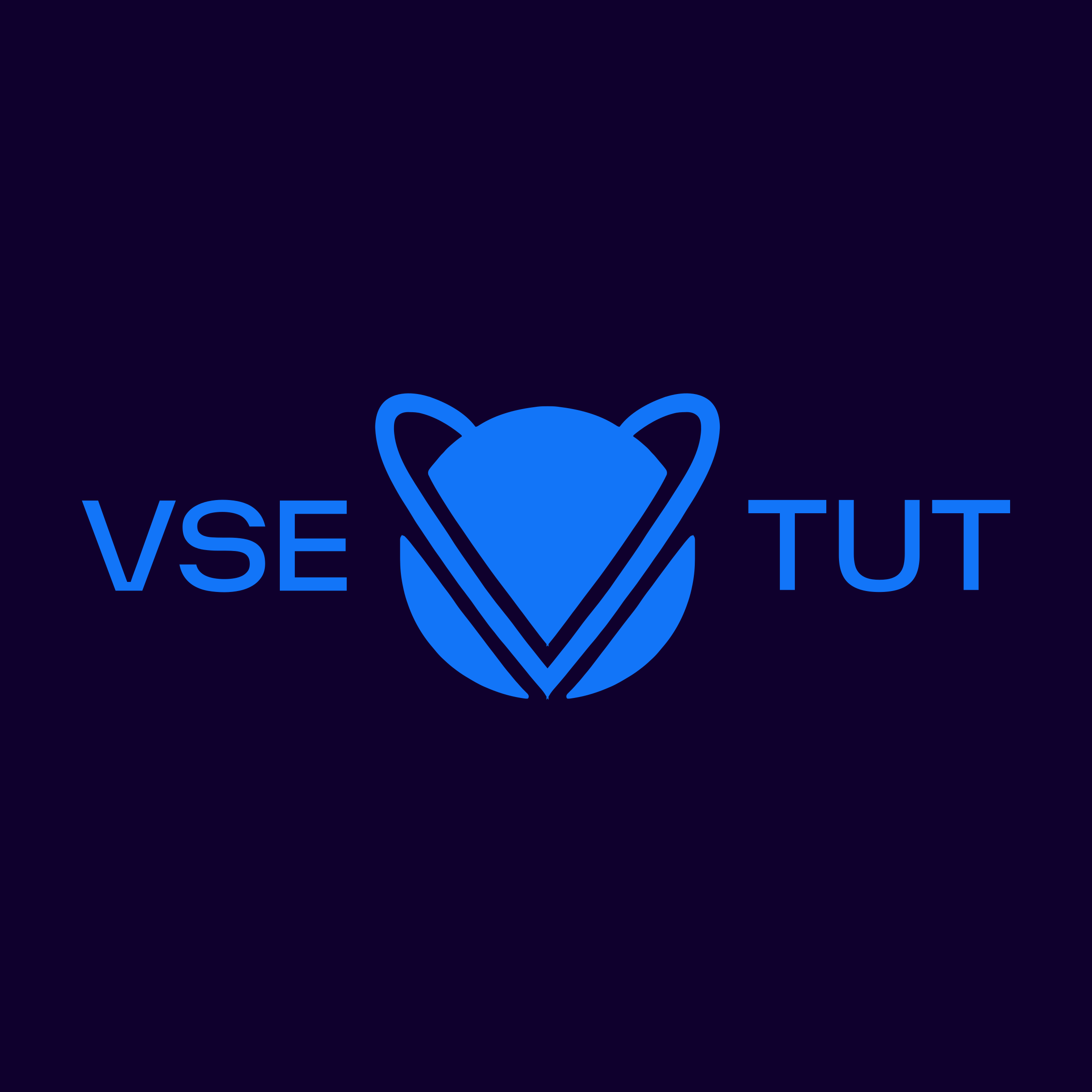 Логотип компании «VSE TUT»