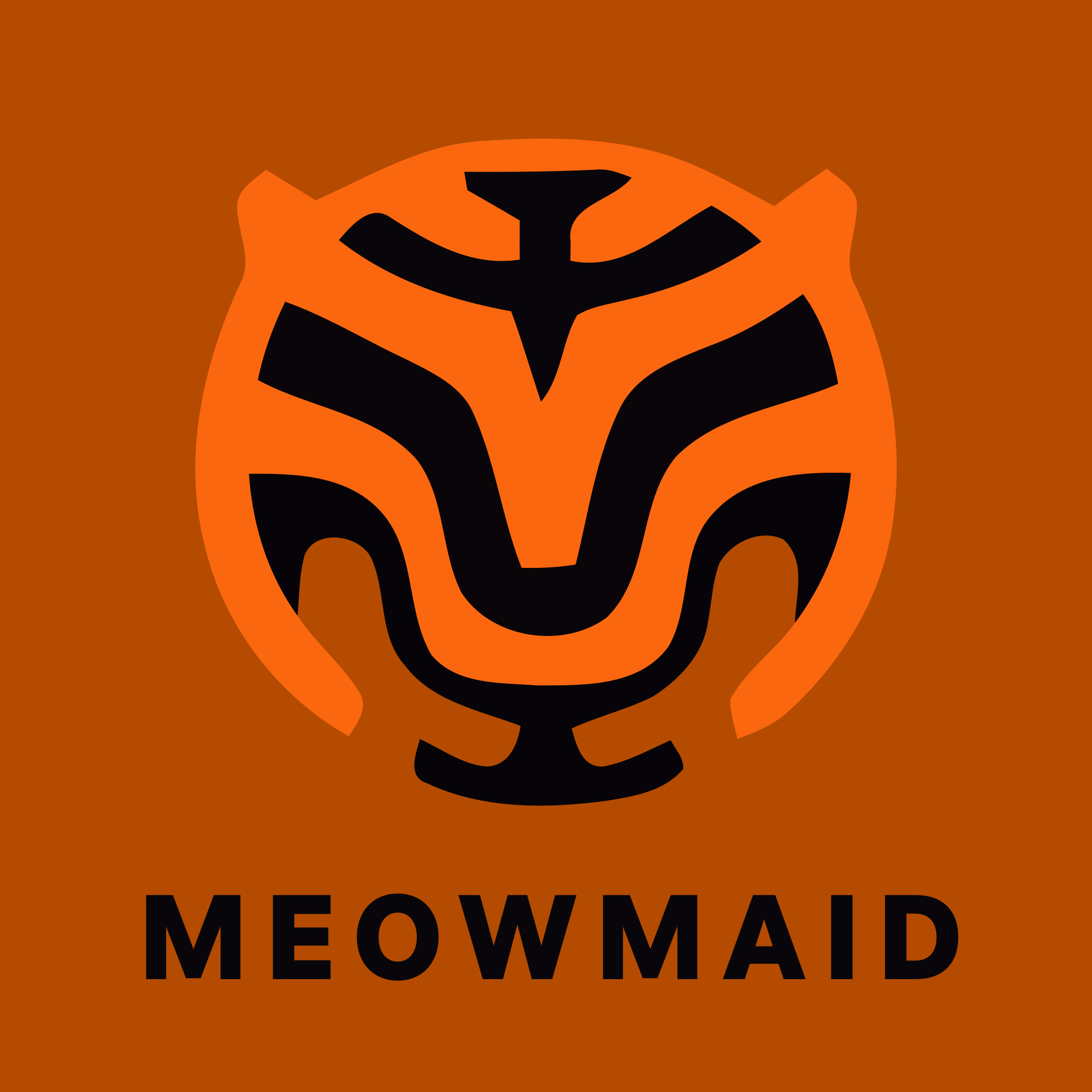 Логотип компании «Meowmaid»