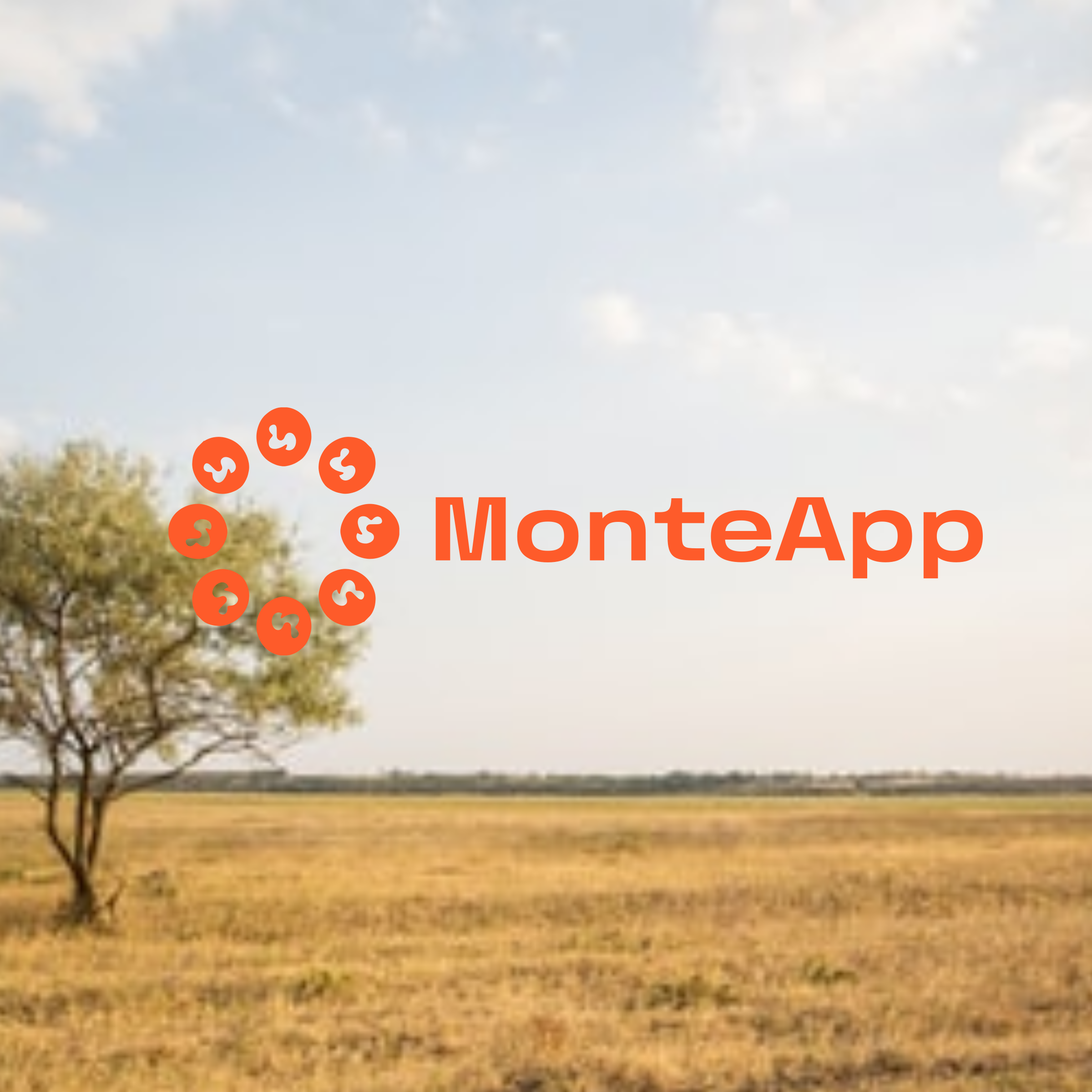 Логотип компании «MonteApp»