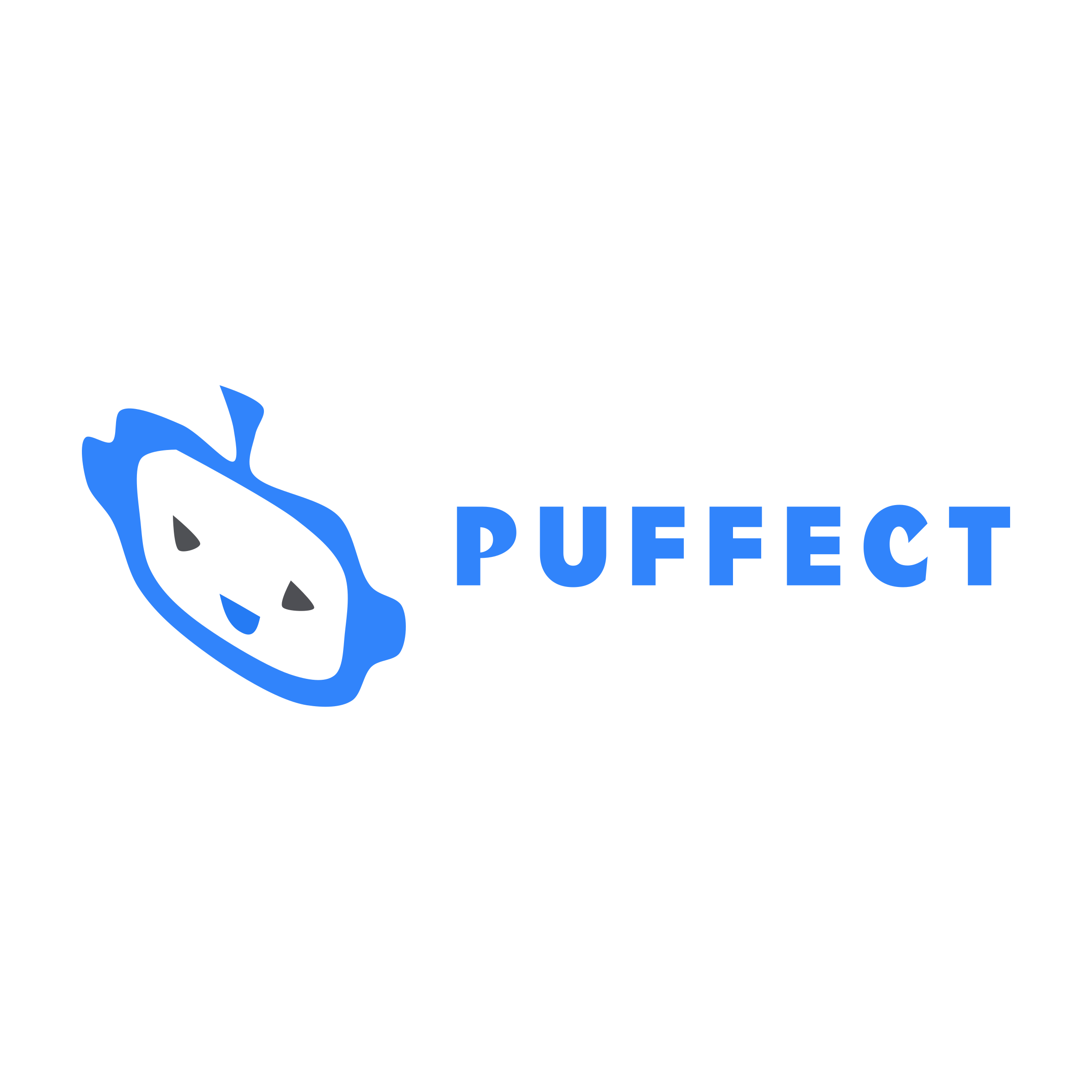 Company logo «Puffect»