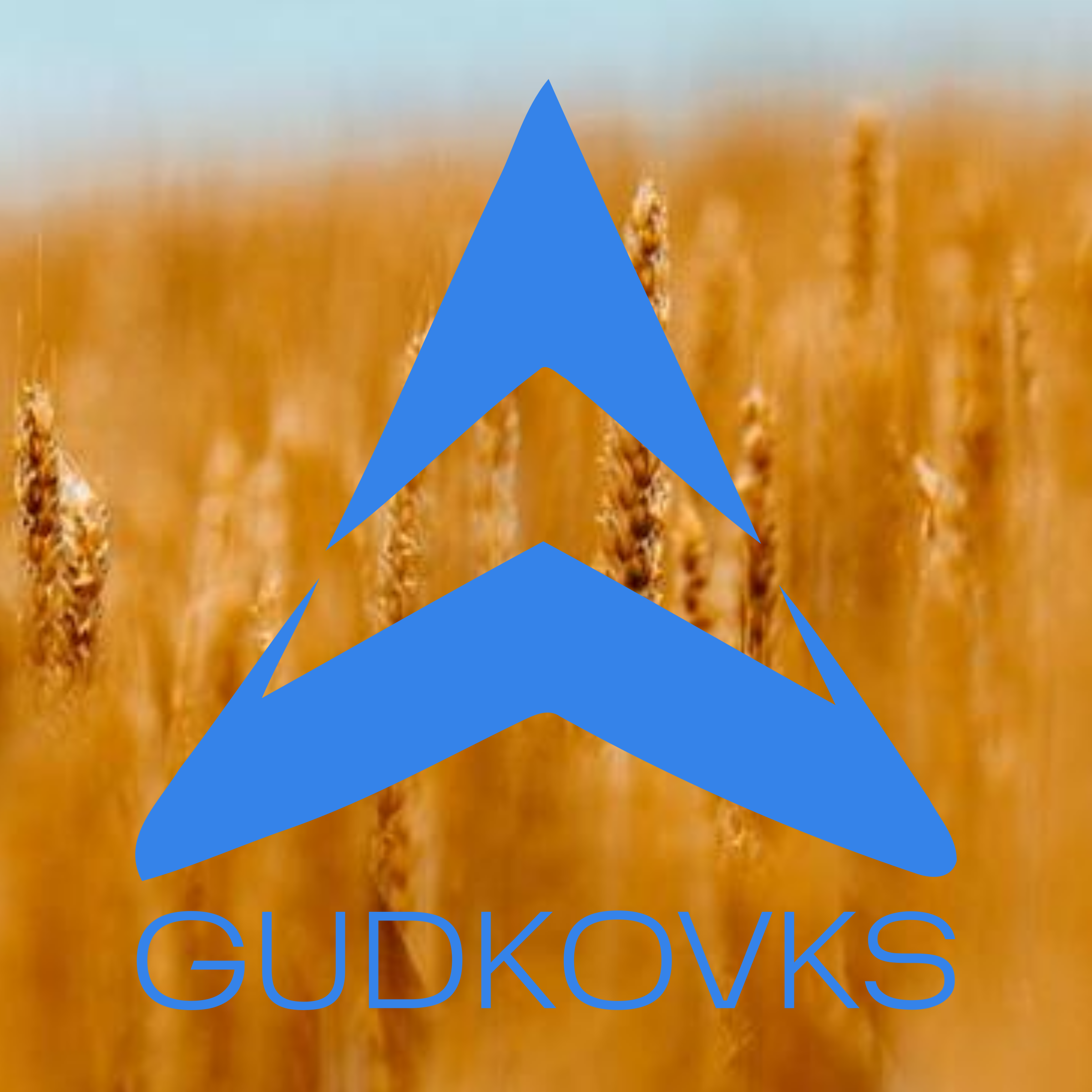 Логотип компании «GUDKOVKS»