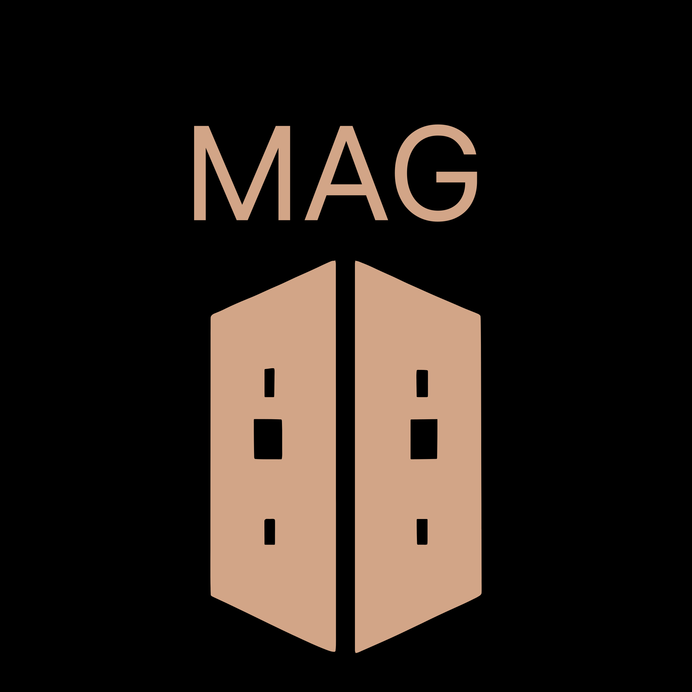 Логотип компании «MAG»