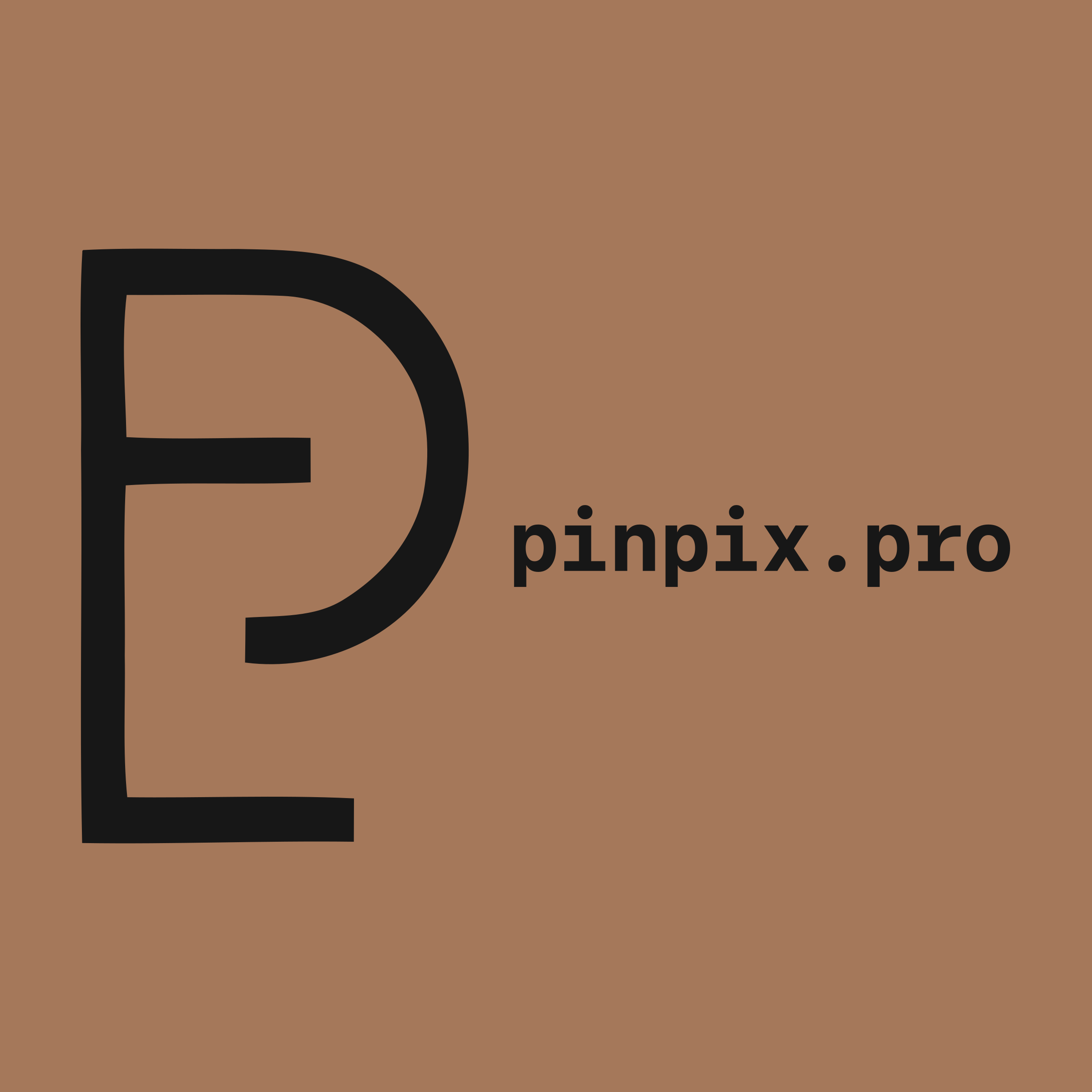 Логотип компании «pinpix.pro»