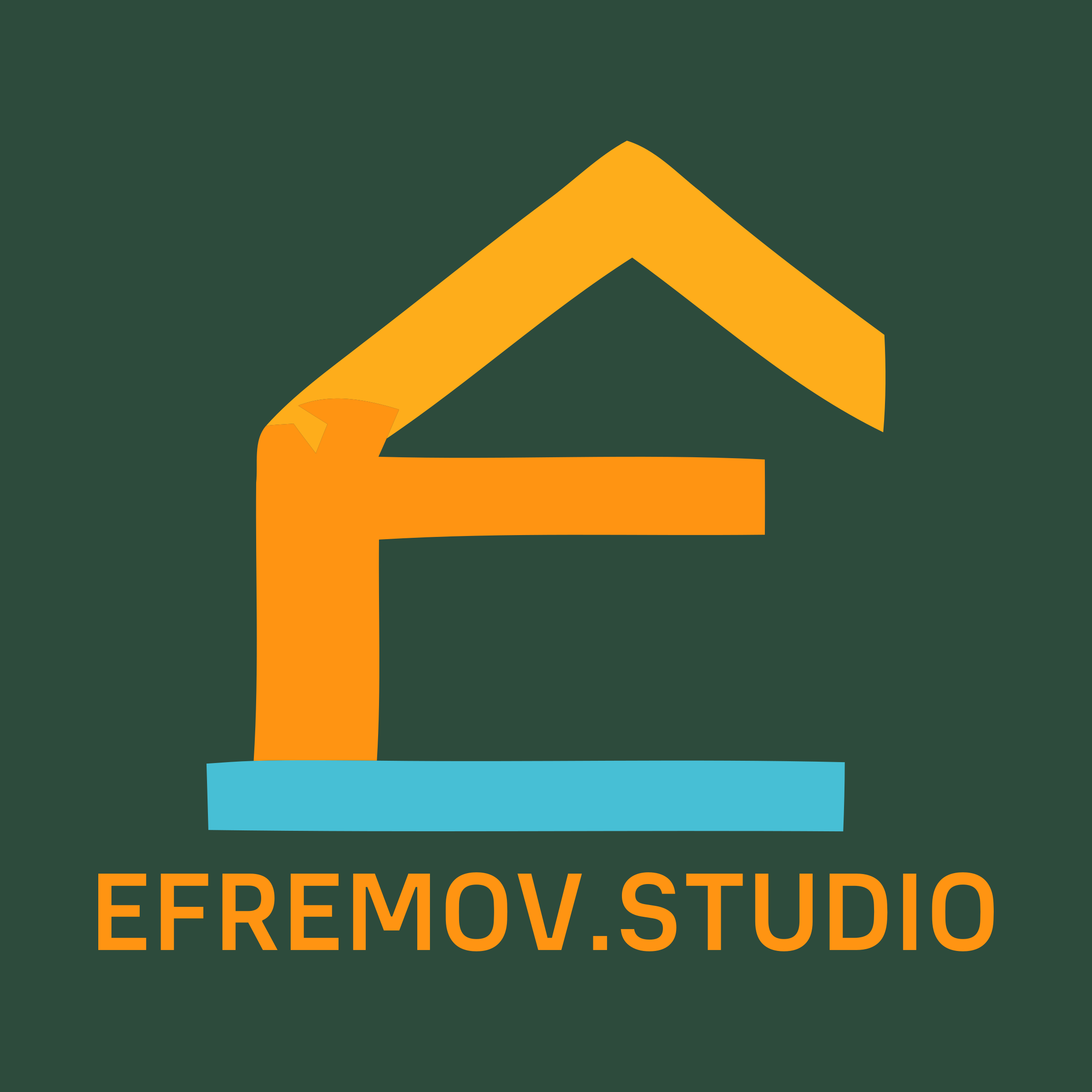 Company logo «EFREMOV.STUDIO»