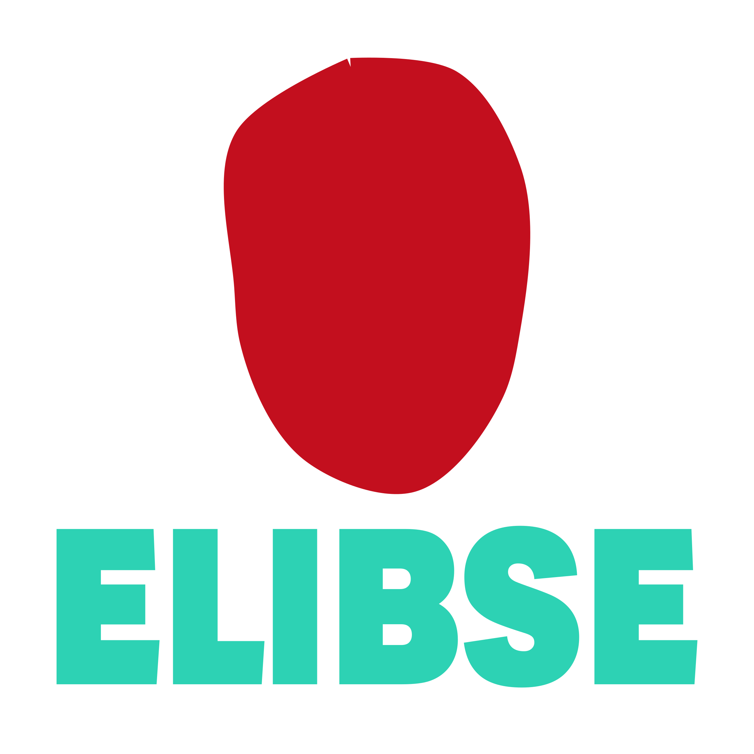 Логотип компании «ELIBSE»