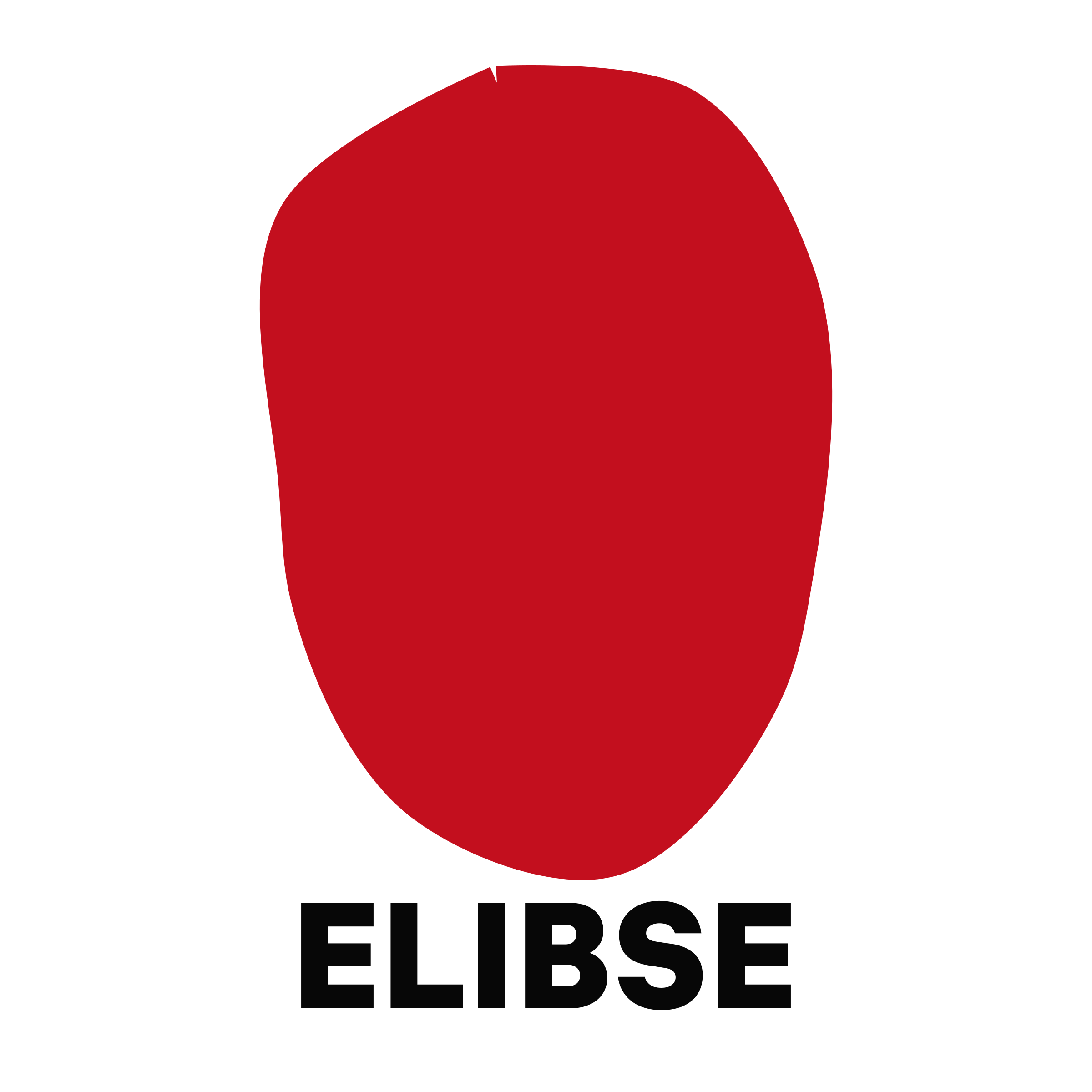 Логотип компании «ELIBSE»