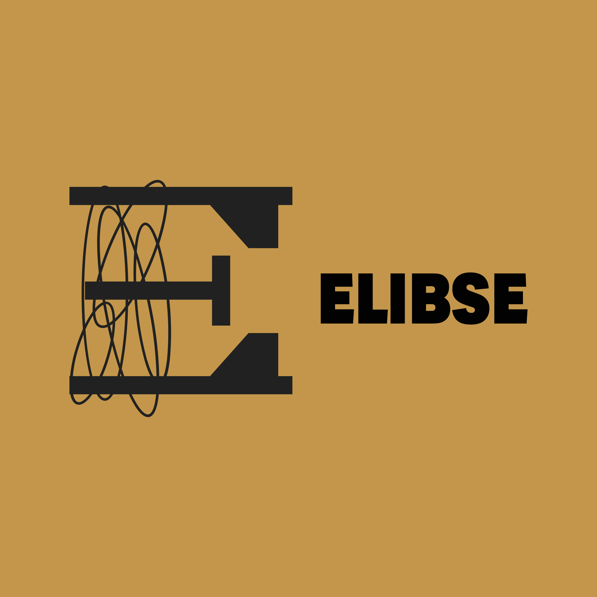 Логотип компании «ELIBSE»