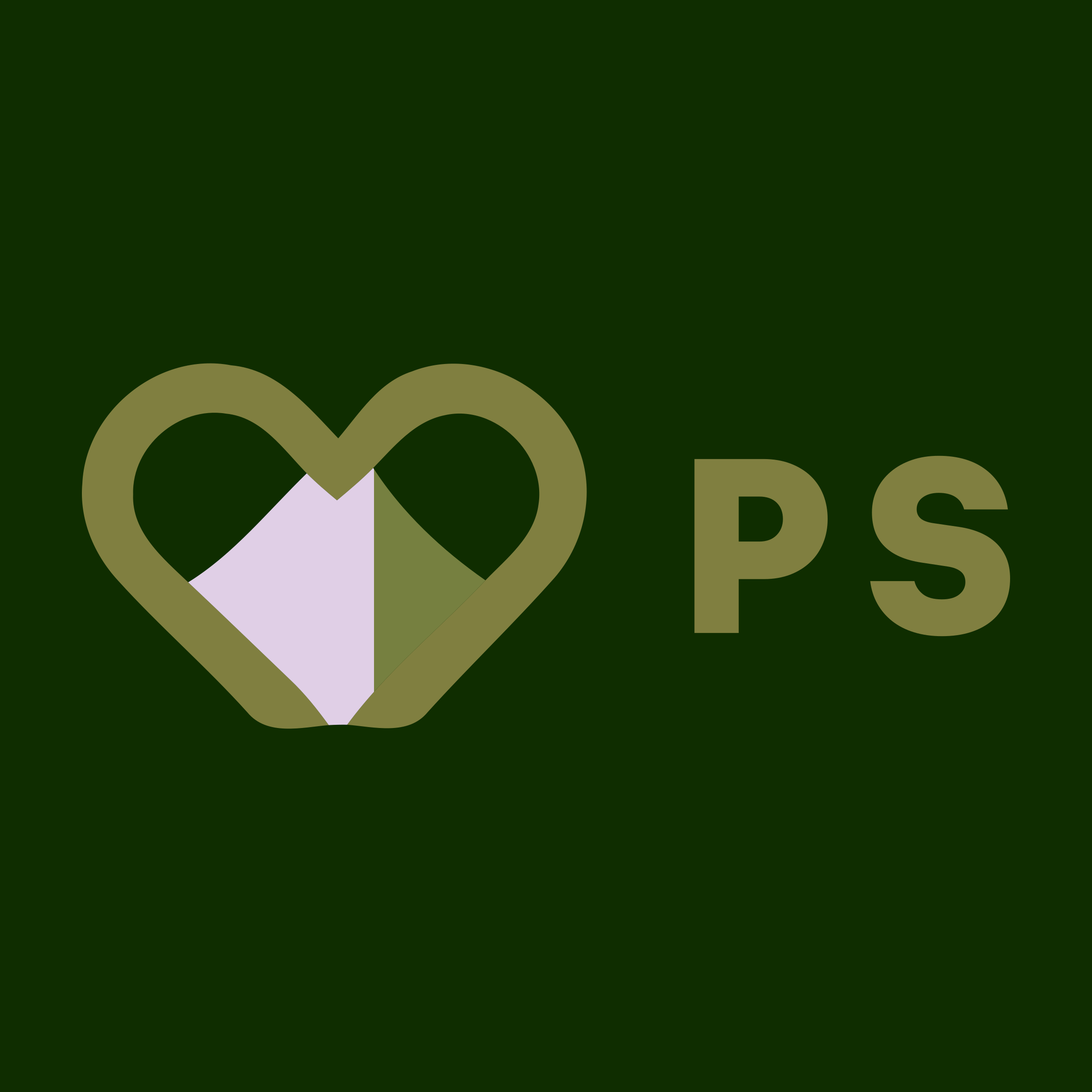 Company logo «PS»