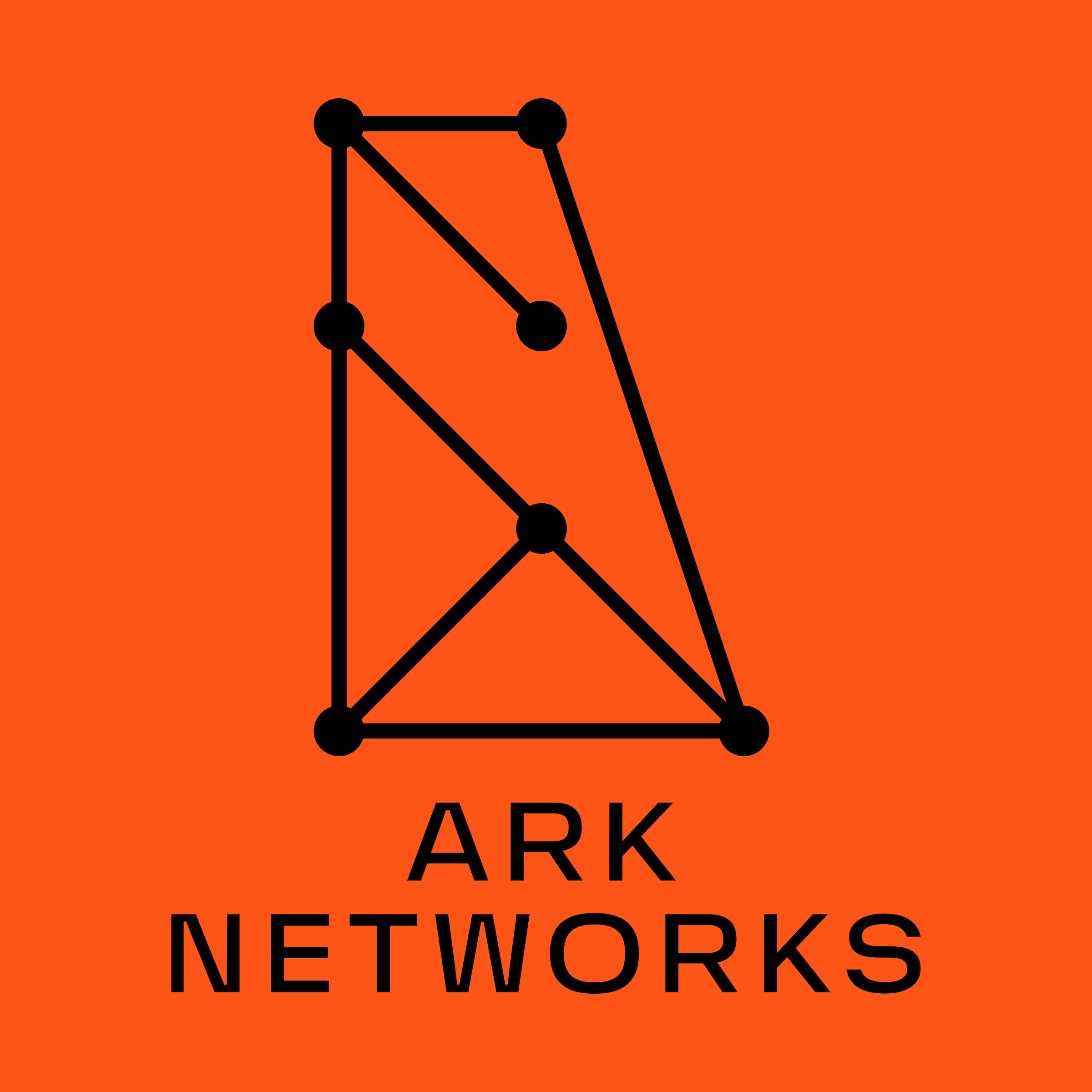 Логотип компании «ARK NETWORKS»