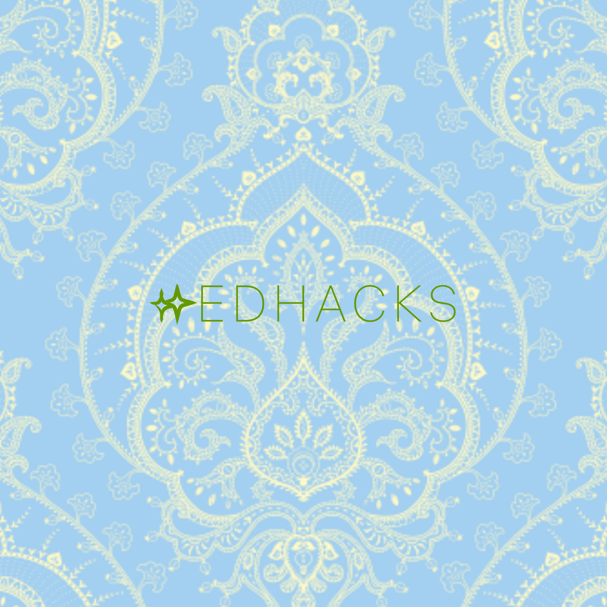 Company logo «EdHacks»