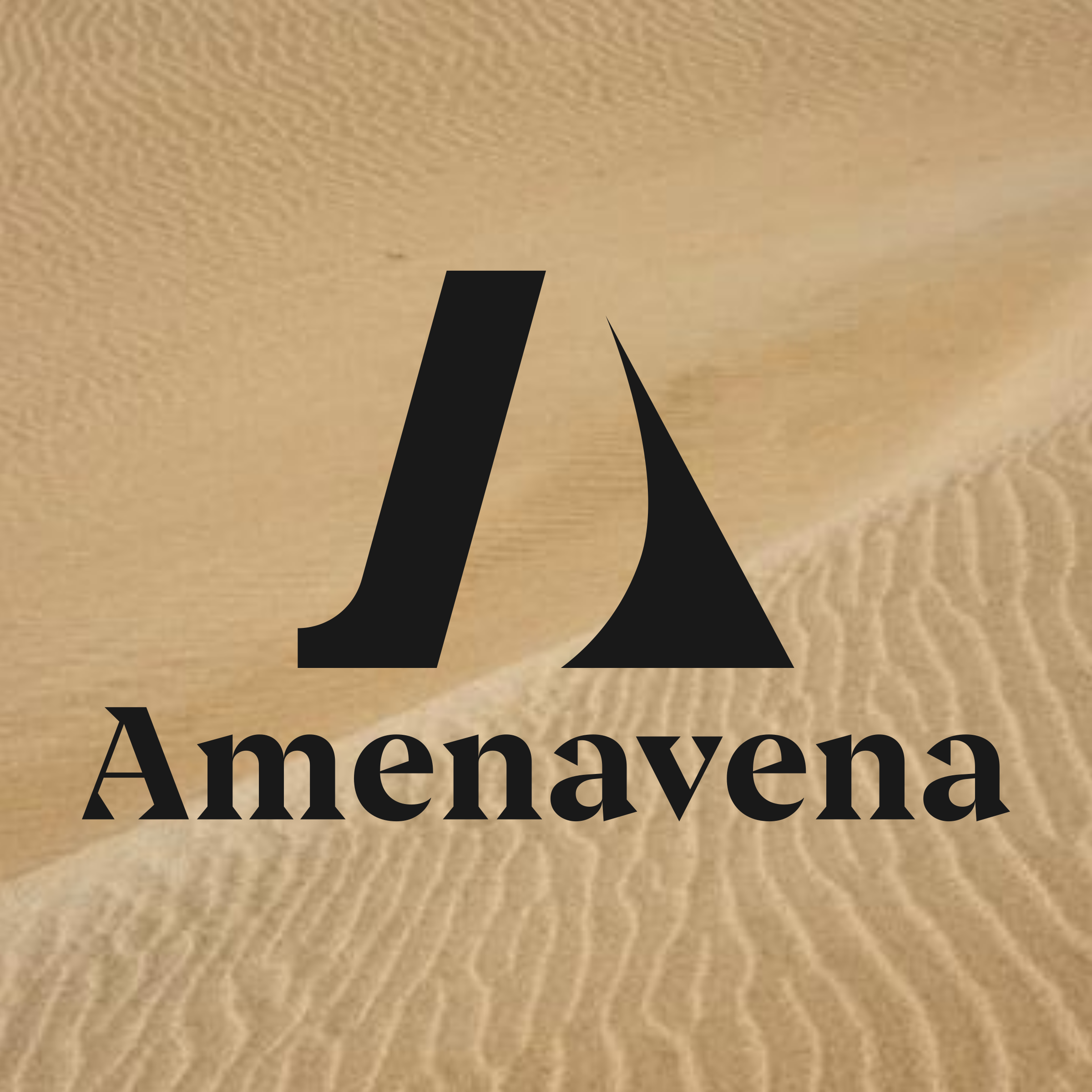 Company logo «Amenavena»