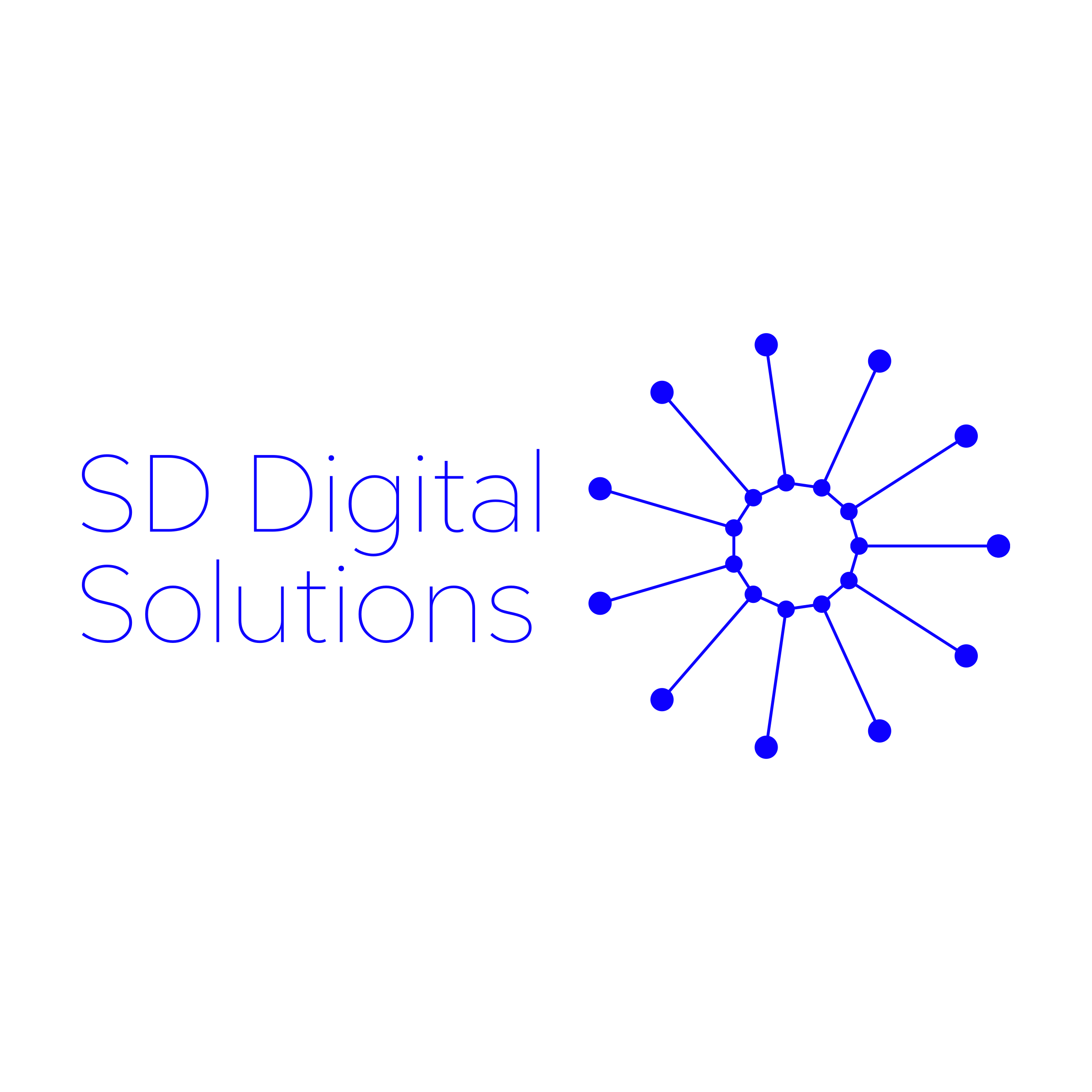 Company logo «SD Digital Solutions»