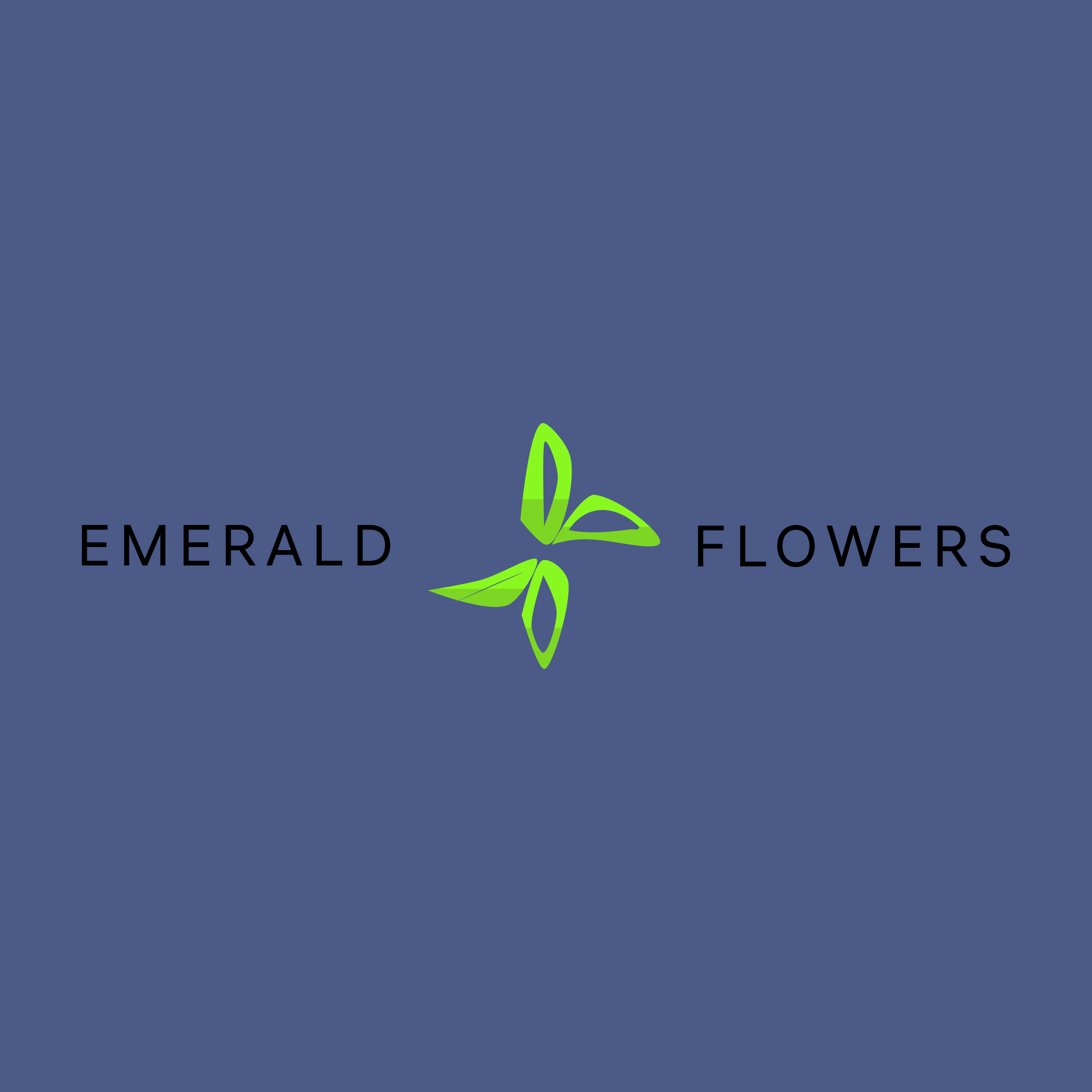 Company logo «Emerald flowers»