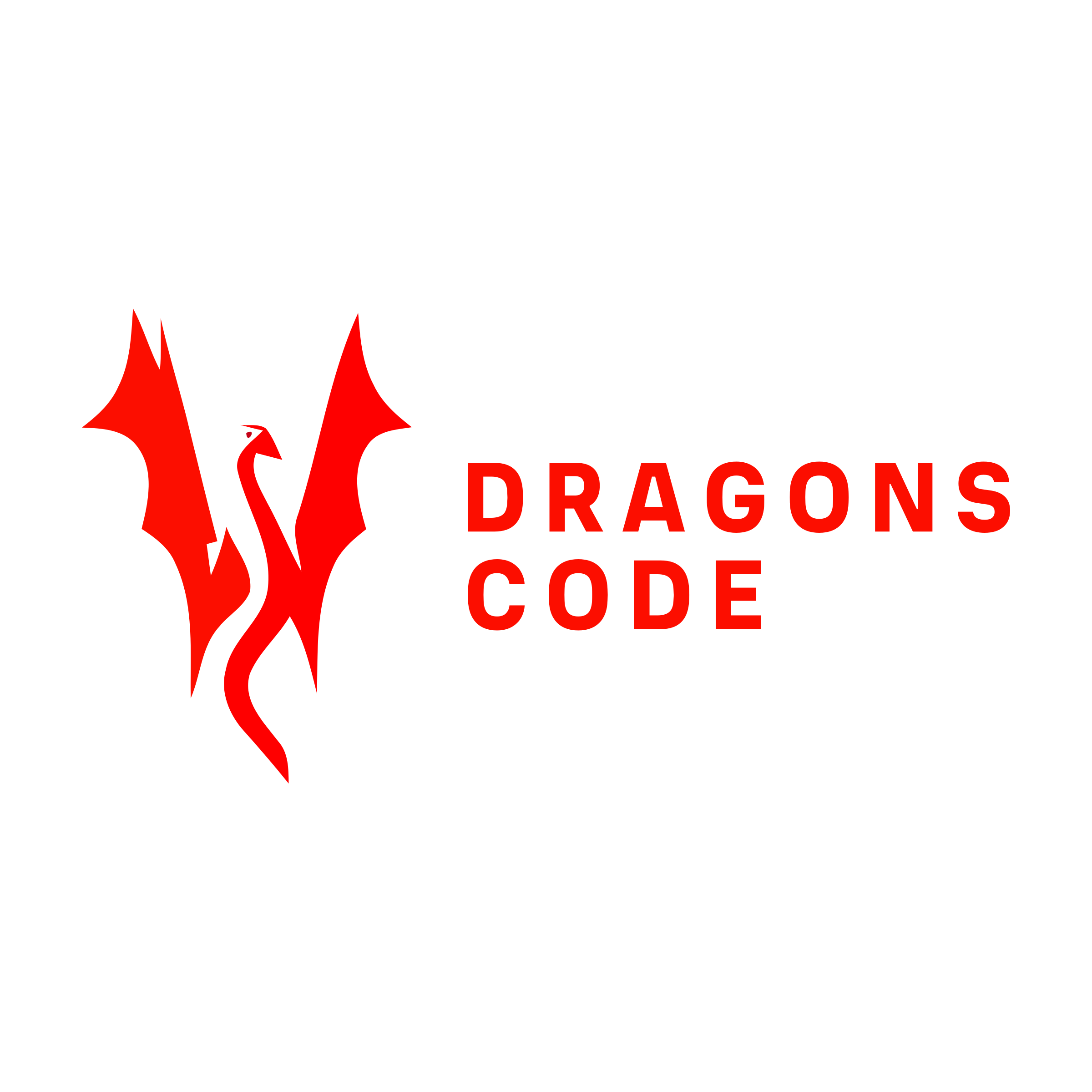 Company logo «Dragons Code»