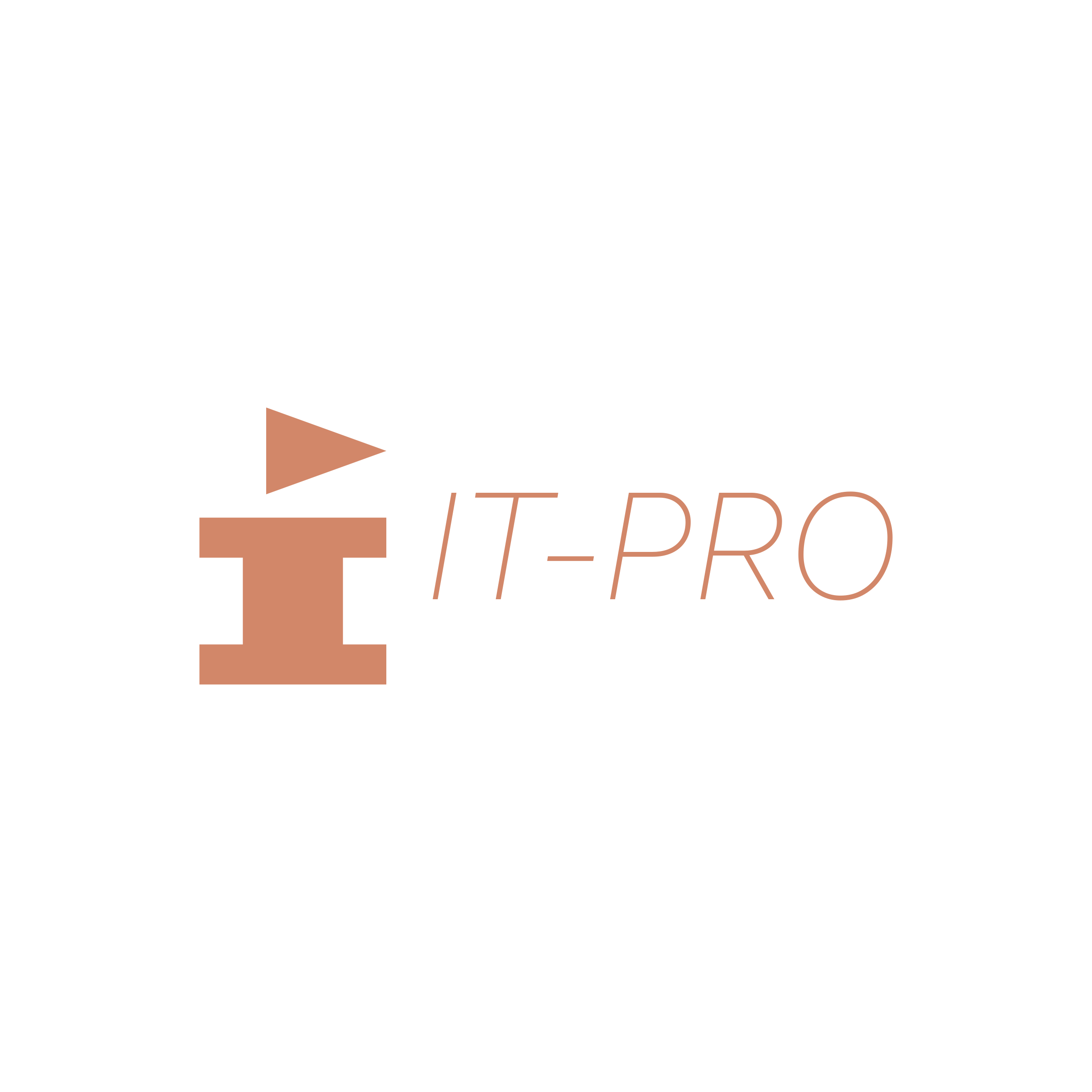 Логотип компании «IT-PRO»