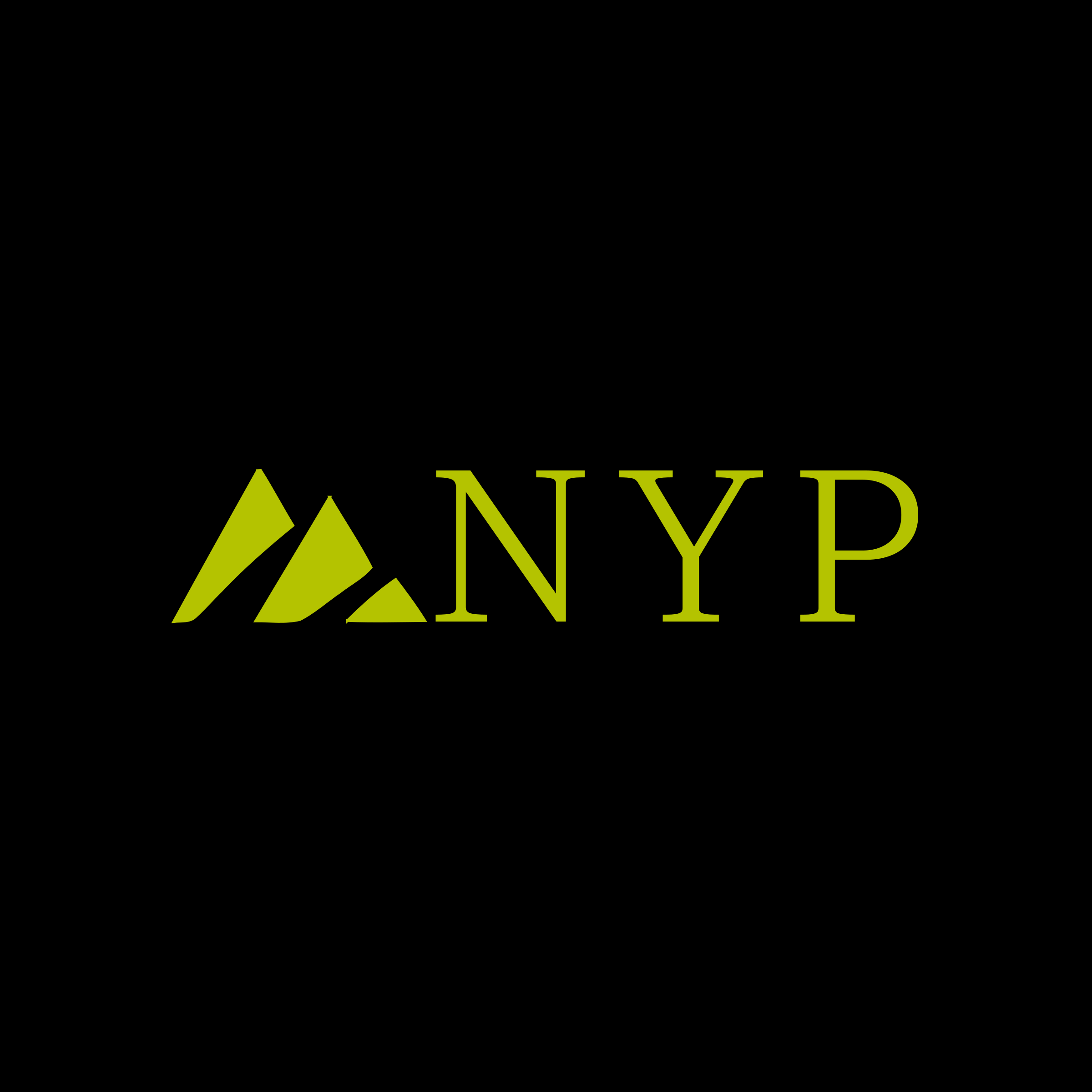 Company logo «NYP»