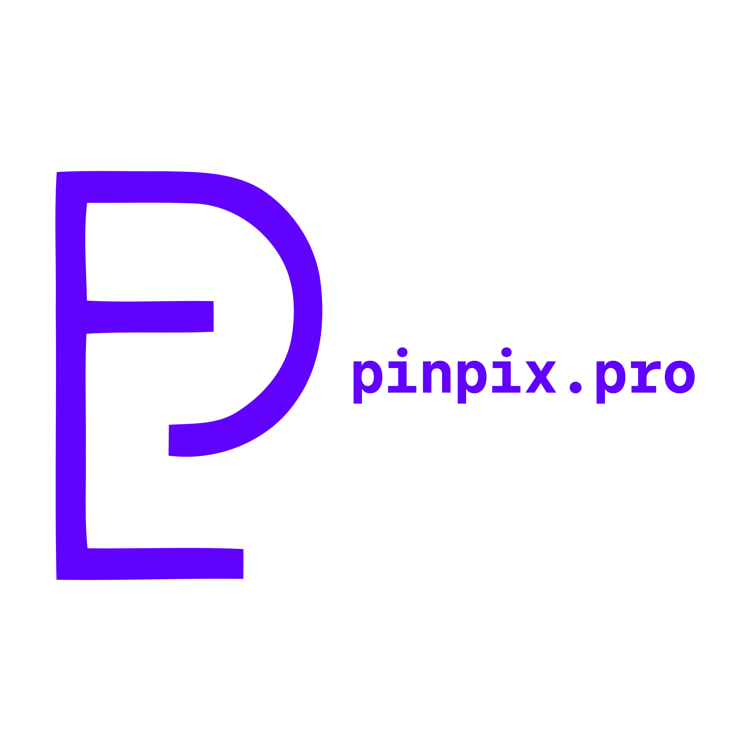 Company logo «pinpix.pro»