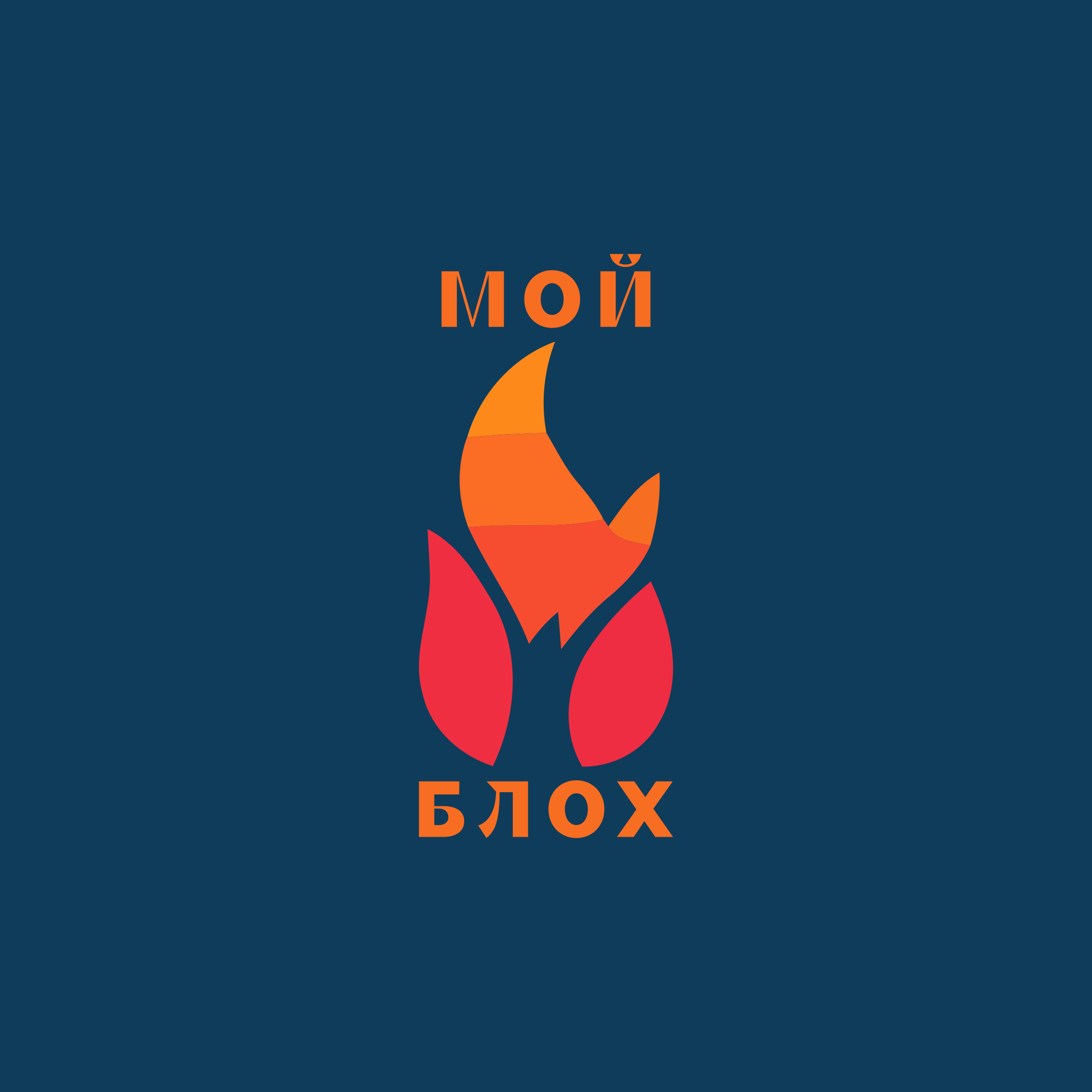 Логотип компании «Мой блох»