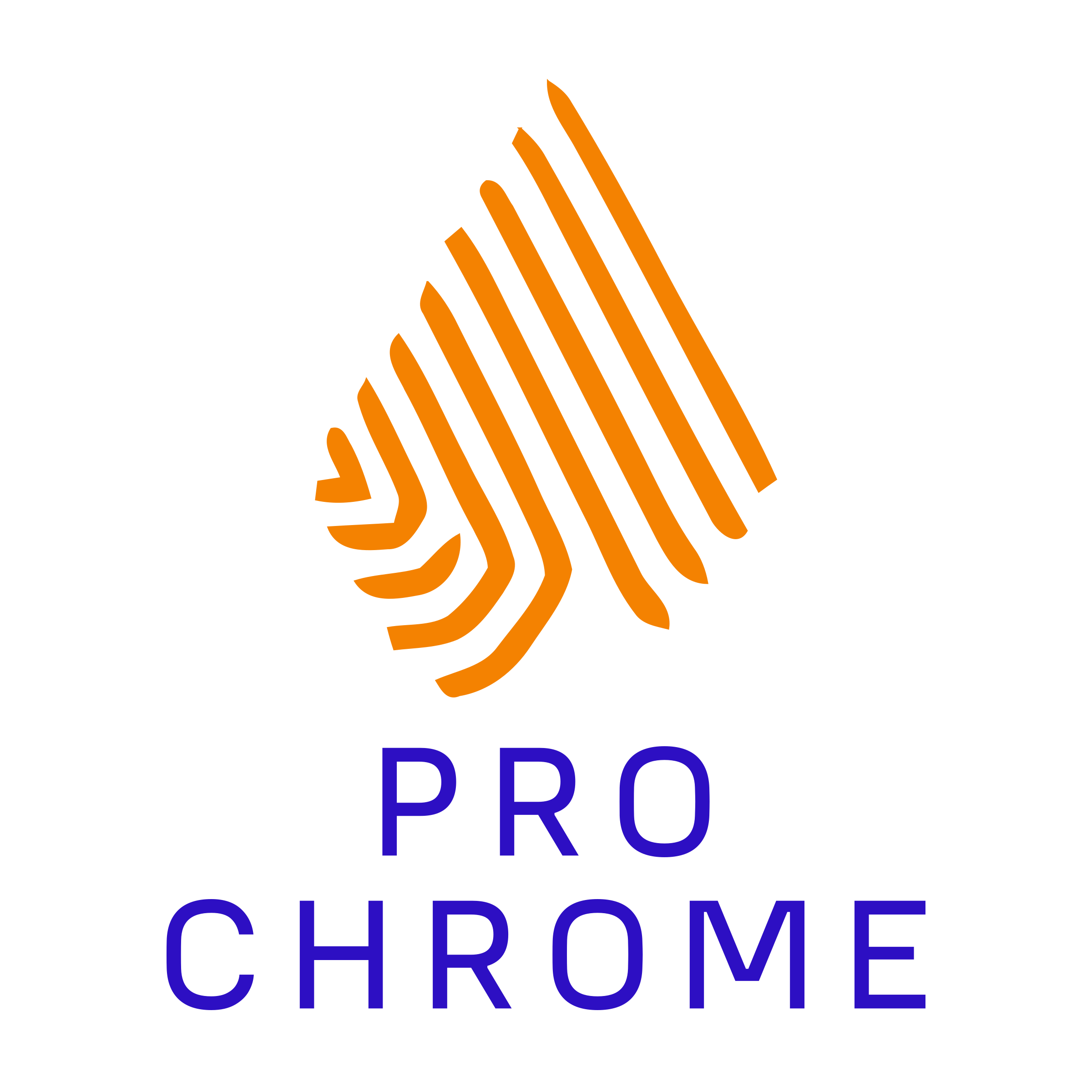 Логотип компании «PRO CHROME»