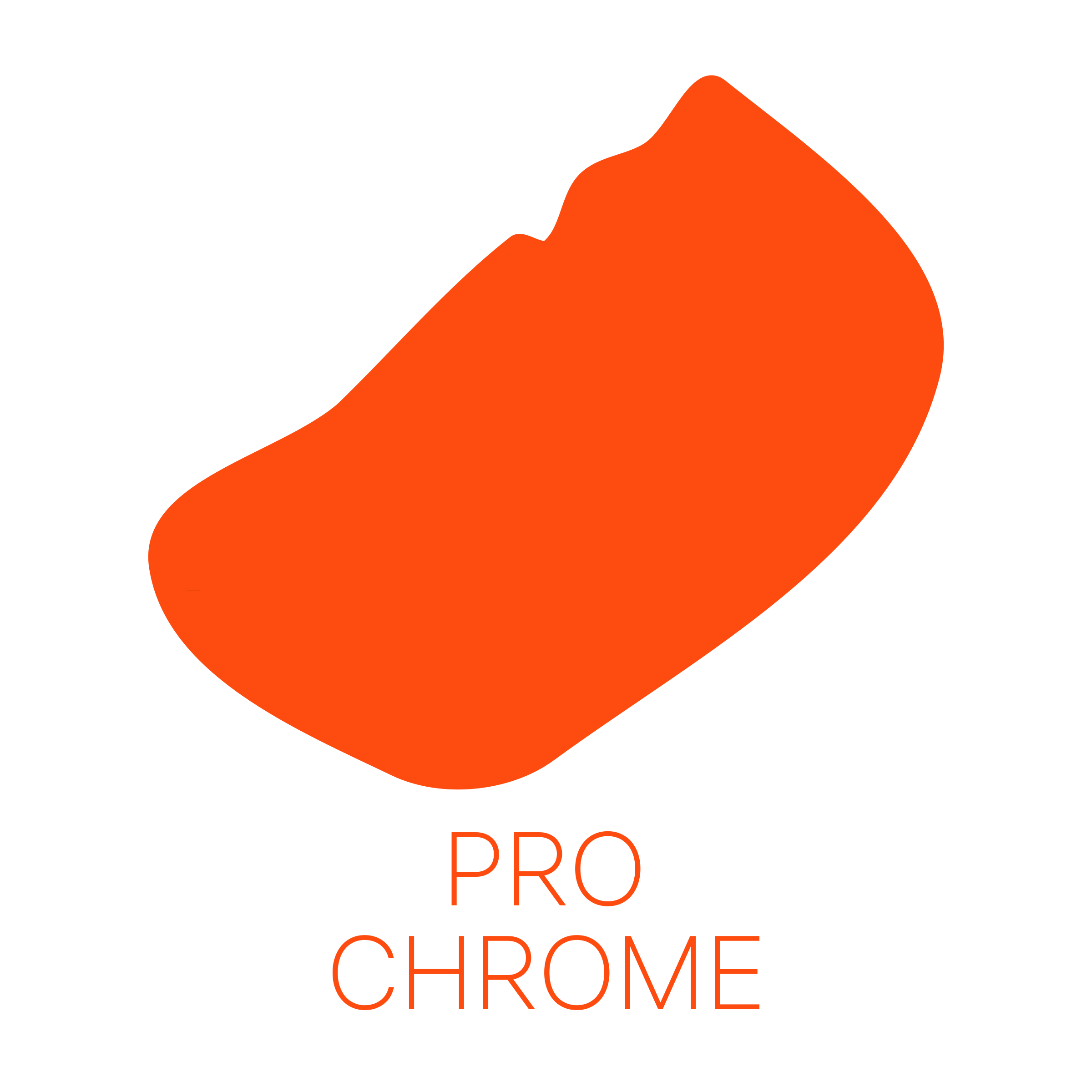 Логотип компании «PRO CHROME»