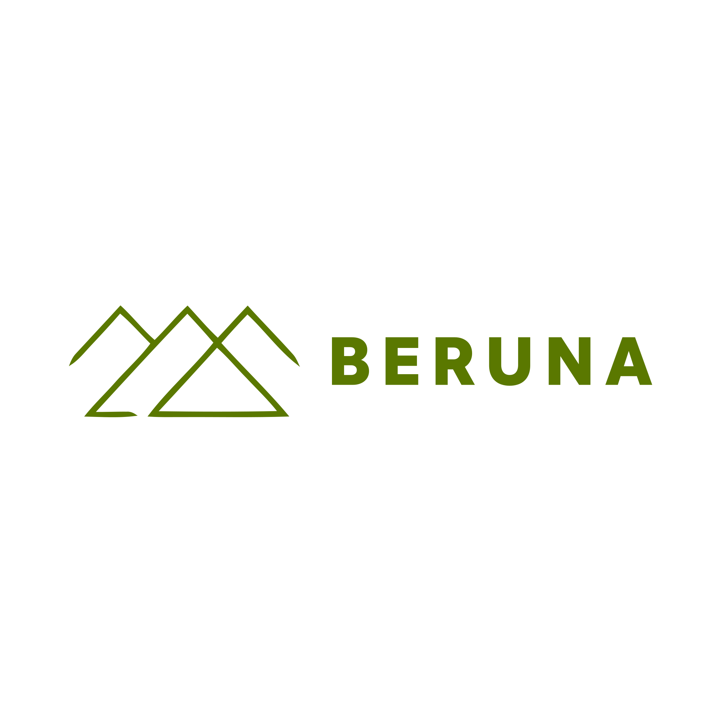 Логотип компании «BerUna»