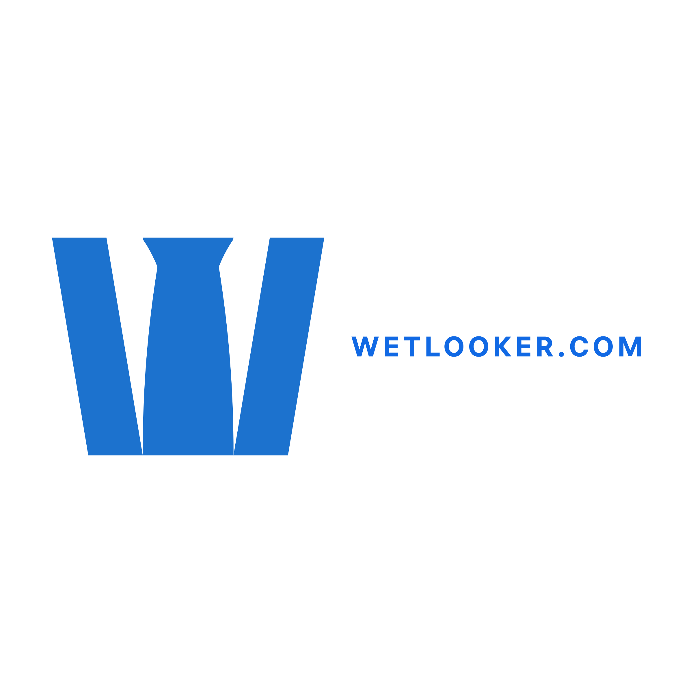 Логотип компании «Wetlooker.com»