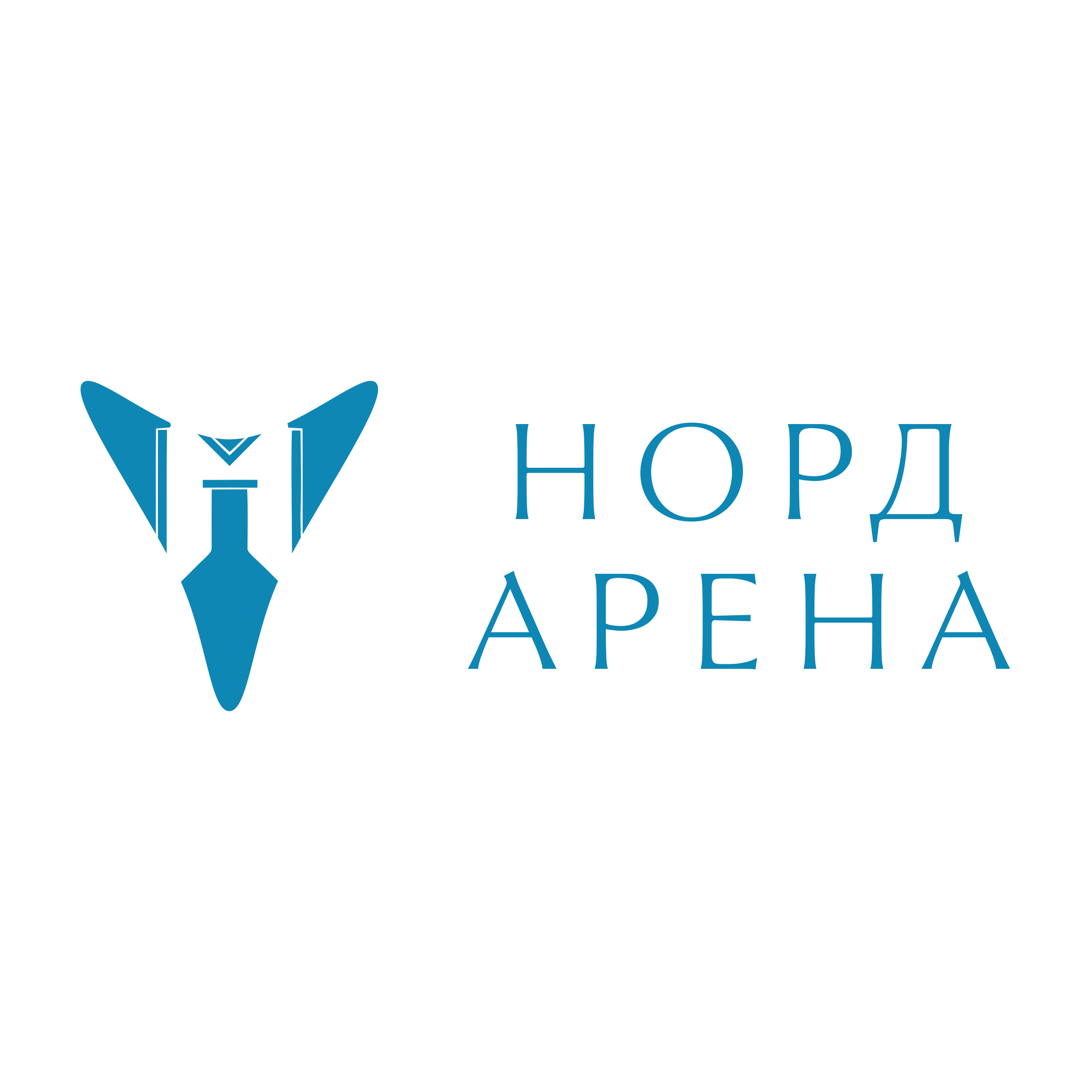 Company logo «Норд Арена»