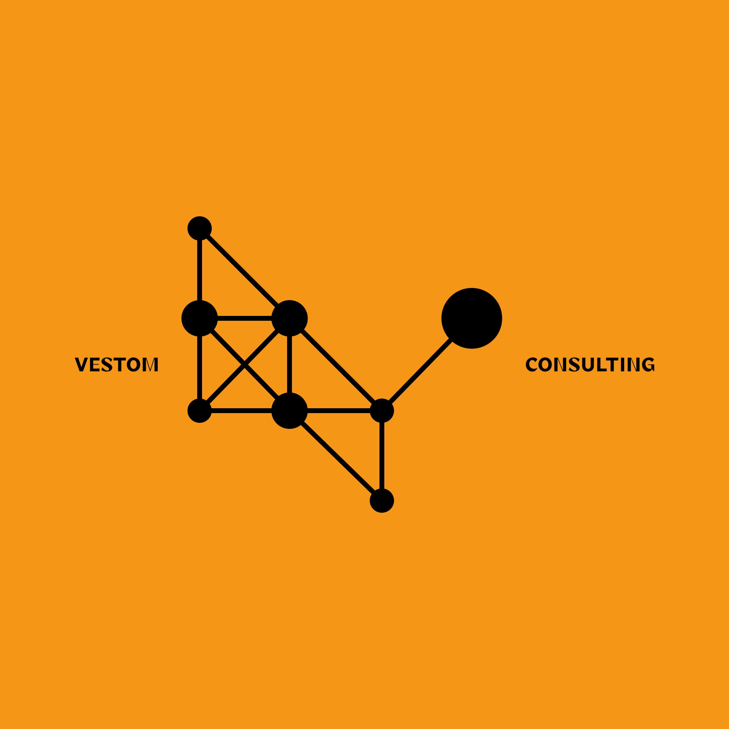 Company logo «VESTOM CONSULTING»