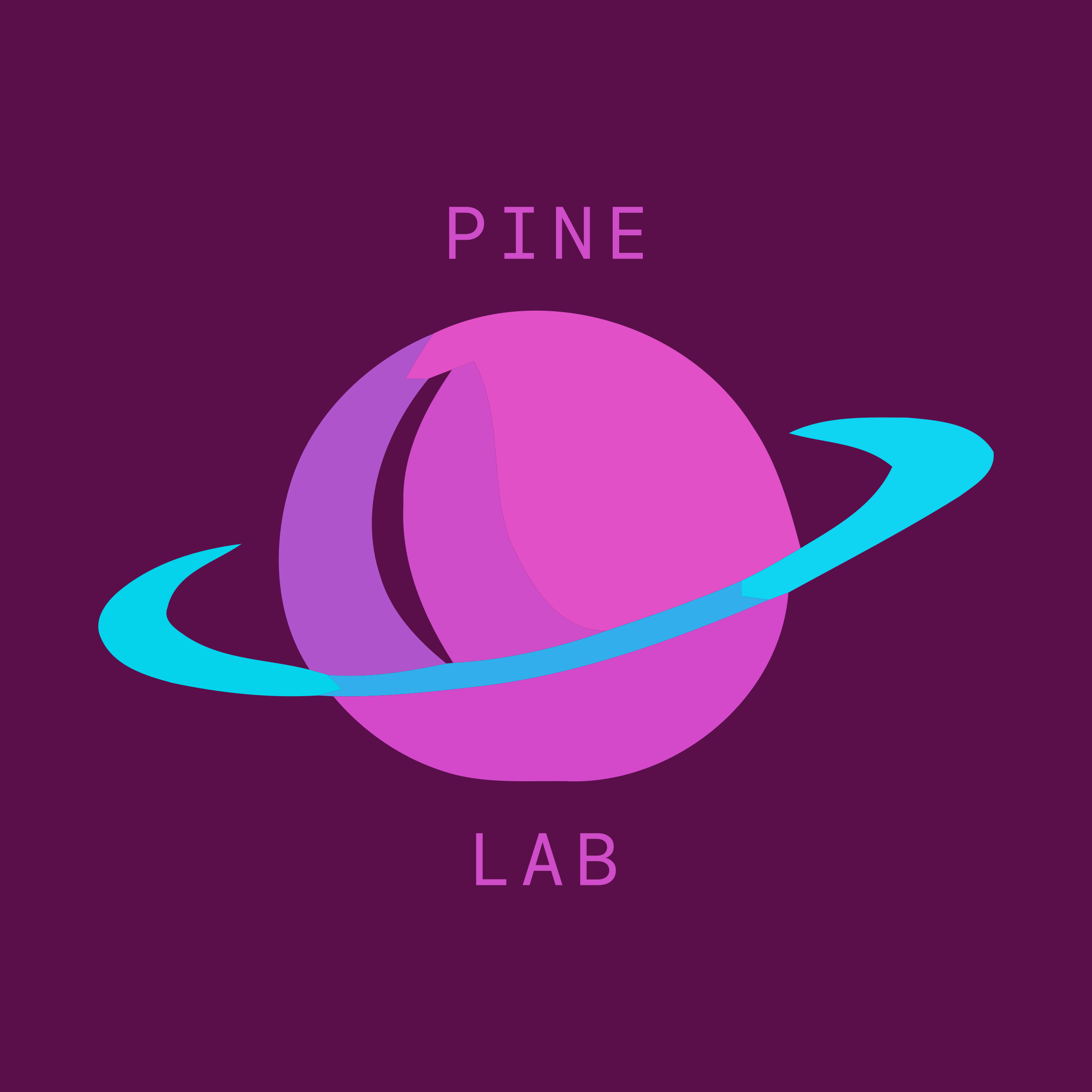 Company logo «Pine Lab»